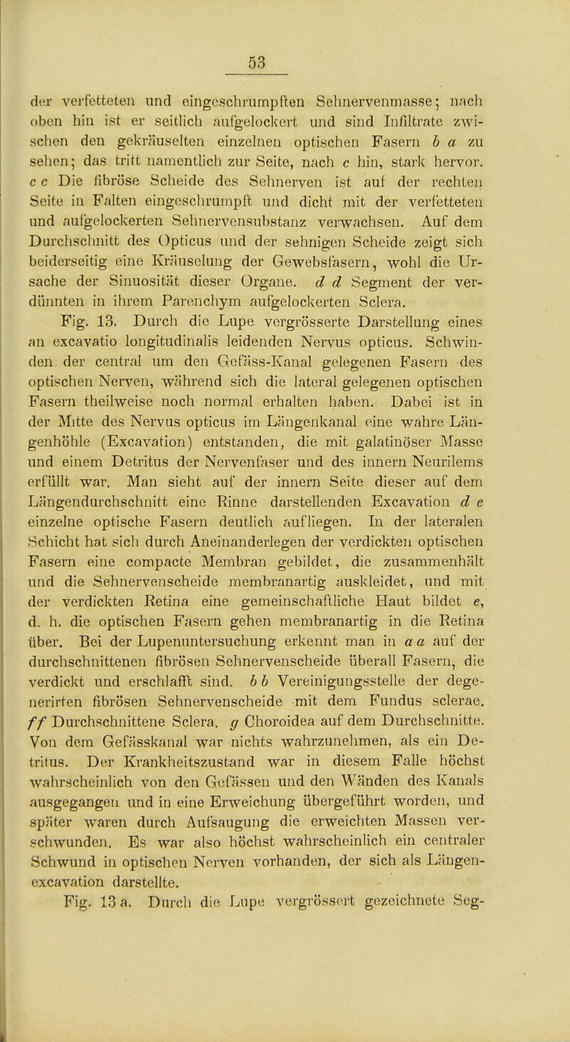 der verfetteten und eingeschrumpften Sehnervenmasse; nach oben hin ist er seitlich atifgeloclcert und sind Infiltrate zwi- schen den gel<räuselten einzehien optischen Fasern ö ö zu sehen; das tritt namentlich zur Seite, nach c liin, starlt hervor, c c Die fibröse Scheide des Sehnerven ist auf der rechten Seite in Falten eingeschrumpft und dicht mit der verfetteten und aufgelockerten Sehnervensubstanz verwachsen. Auf dem Durclischnitt des Opticus und der sehnigen Scheide zeigt sich beiderseitig eine Kräuselung der Gewebsfäsern, wohl die Ur- sache der Sinuosität dieser Organe, d d Segment der ver- dünnten in iln-em Parenchym aufgelockerten Sclera. Fig. 13. Durch die Lupe vergrösserte Darstellung eines an excavatio longitudinalis leidenden Nervus opticus. Schwin- den der central um deii Gefäss-Kanal gelegenen Fasern des optischen Nerven, w;»hrend sich die lateral gelegenen optischen Fasern theilweise noch normal erhalten haben. Dabei ist in der Mitte des Nervus opticus im Längenkanal eine wahre Län- genhöhle (Excavation) entstanden, die mit galatinöser Masse und einem Detritus der Nervenfaser und des innern Neurilems erfüllt war. Man sieht auf der innern Seite dieser auf dem Längendurchschnitt eine Rinne darstellenden Excavation d e einzelne optische Fasern deutlich aufliegen. Li der lateralen Schicht hat sich durch Aneinanderlegen der verdickten optischen Fasern eine compacte Membran gebildet, die zusammenhält und die Sehnervenscheide membranartig auskleidet, und mit der verdickten Retina eine gemeinschaftliche Haut bildet e, d. h. die optischen Fasern gehen membranartig in die Retina über. Bei der Lupenuntersuchung erkennt man in a a auf der durchschnittenen fibrösen Sehnervenscheide überall Fasern, die verdickt und erschlafft sind, b b Vereinigungsstelle der dege- nerirten fibrösen Sehnerveuscheide mit dem Fundus sclerae. ff Durchschnittene Sclera. g Choroidea auf dem Durchschnitte. Von dem Gefässkanal war nichts wahrzunehmen, als ein De- tritus. Der Krankheitszustand war in diesem Falle höchst wahrscheinlich von den Gefässen und den Wänden des Kanals ausgegangen und in eine Erweichung übergeführt worden, und später waren durch Aufsaugung die erweichten Massen ver- schwunden. Es war also höchst wahrscheinlich ein centraler Schwund in optischen Nerven vorhanden, der sich als Längen- excavation darstellte. Fig. 13 a. Durch die Lupe vergrösscrt gezeichnete Seg-