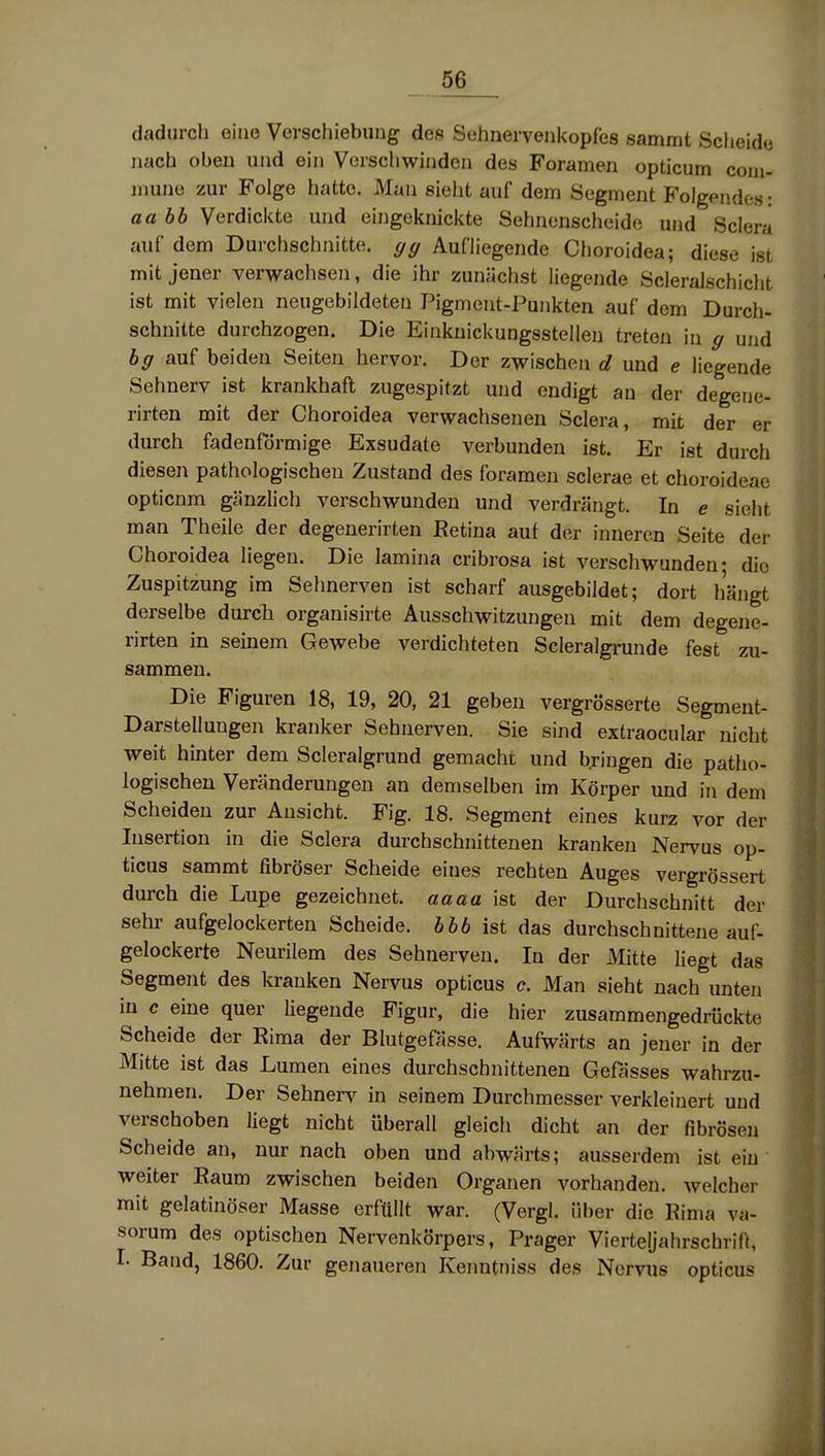 dadurch eine Verschiebung des Sehnervenkopfes sammt Sclieide nach oben und ein Verschwinden des Foramen opticum com- muna zur Folge hatte. Man sieht auf dem Segment Folgendes: aabb Verdickte und eingeknickte Sehnenscheide und Sciera auf dem Durchschnitte, (/cf Aufliegende Choroidea; diese ist mit jener verwachsen, die ihr zunächst liegende Scieralschiclit ist mit vielen neugebildeten Pigment-Punkten auf dem Durch- schnitte durchzogen. Die Einknickungsstelleu treten in g und bff auf beiden Seiten hervor. Der zwischen d und e liegende Sehnerv ist krankhaft zugespitzt und endigt an der degene- rirten mit der Choroidea verwachsenen Sciera, mit der er durch fadenförmige Exsudate verbunden ist. Er ist durch diesen pathologischen Zustand des foramen sclerae et choroideae opticnm gänzlich verschwunden und verdrängt. In e sieht man Theile der degenerirten Eetina auf der inneren Seite der Choroidea liegen. Die lamiiia cribrosa ist verschwunden- die Zuspitzung im Sehnerven ist scharf ausgebildet; dort hängt derselbe durch organisirte Ausschwitzungen mit dem degene- rirten in seinem Gewebe verdichteten Scleralgrunde fest zu- sammen. Die Figuren 18, 19, 20, 21 geben vergrösserte Segment- Darstellungen kranker Sehnerven. Sie sind extraocular nicht weit hinter dem Scleralgrund gemacht und bringen die patho- logischen Veränderungen an demselben im Körper und in dem Scheiden zur Ansicht. Fig. 18. Segment eines kurz vor der Insertion in die Sciera durchschnittenen kranken Nervus op- ticus sammt fibröser Scheide eines rechten Auges vergrössert durch die Lupe gezeichnet, aaaa ist der Durchschnitt der sehr aufgelockerten Scheide, bbb ist das durchschnittene auf- gelockerte Neurilem des Sehnerven. In der Mitte liegt das Segment des kranken Nervus opticus c. Man sieht nach unten in c eine quer Hegende Figur, die hier zusammengedrückte Scheide der Eima der Blutgefässe. Aufwärts an jener in der Mitte ist das Lumen eines durchschnittenen Gefässes wahrzu- nehmen. Der Sehnerv in seinem Durchmesser verkleinert und verschoben liegt nicht überall gleich dicht an der fibrösen Scheide an, nur nach oben und abwärts; ausserdem ist ein weiter Raum zwischen beiden Organen vorhanden, welcher mit gelatinöser Masse erfüllt war. (Vergl. über die Bima va- sorum des optischen Nervenkörpers, Prager Vierteljahrschrift, I. Band, 1860. Zur genaueren Kenntniss des Nervus opticus