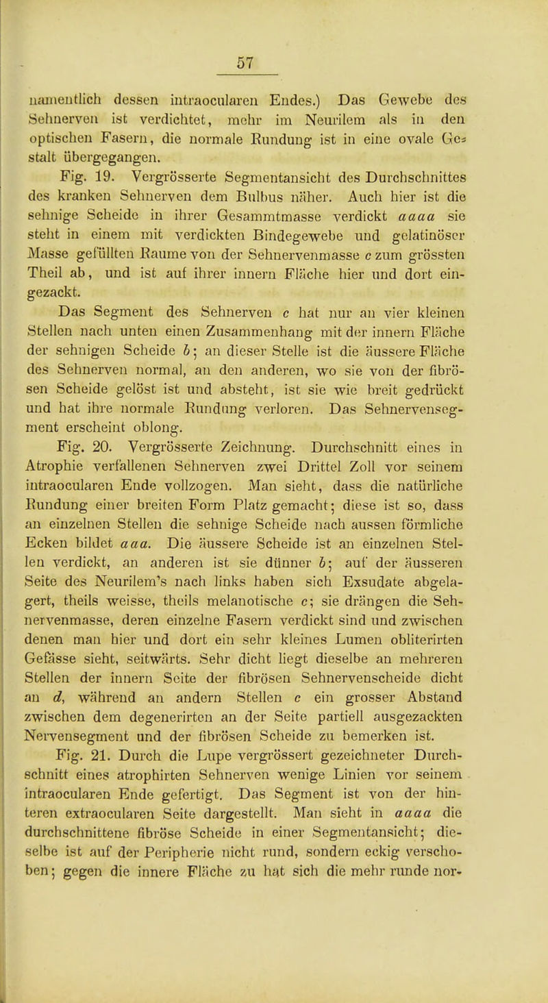 umaeiitlich dessen intraocularen Endes.) Das Gewebe des Sehnerven ist verdichtet, mehr im Neurilem als in den optischen Fasern, die normale Rundung ist in eine ovale Gcs stalt übergegangen. Fig. 19. Vergrösserte Segmentansicht des Durchschnittes des kranken Sehnerven dem Bulbus näher. Auch hier ist die sehnige Scheide in ihrer Gesammtmasse verdickt aaaa sie steht in einem mit verdickten Bindegewebe und gelatinöser Masse gefüllten Eaume von der Sehnervenmasse c zum grössten Theil ab, und ist auf ihrer Innern Fläche hier und dort ein- gezackt. Das Segment des Sehnerven c hat nur an vier kleinen Stellen nach unten einen Zusammenhang mit der innern Fläche der sehnigen Scheide h; an dieser Stelle ist die äussere Fläche des Sehnerven normal, an den anderen, wo sie von der fibrö- sen Scheide gelöst ist und absteht, ist sie wie breit gedrückt und hat ihre normale Rundinig verloren. Das Sehnervenseg- ment erscheint oblong. Fig. 20. Vergrösserte Zeichnung. Durchschnitt eines in Atrophie verfallenen Sehnerven zwei Drittel Zoll vor seinem intraocularen Ende vollzogen. Man sieht, dass die natürliche Rundung einer breiten Form Platz gemacht; diese ist so, dass an einzelnen Stellen die sehnige Scheide nach aussen förmliche Ecken bildet aaa. Die äussere Scheide ist an einzelnen Stel- len verdickt, an anderen ist sie dünner 5; auf der äusseren Seite des Neurilemms nach links haben sich Exsudate abgela- gert, theils weisse, theils melanotische c; sie drängen die Seh- nervenraasse, deren einzelne Fasern verdickt sind und zwischen denen man hier und dort ein sehr kleines Lumen obliterirten Gefösse sieht, seitwärts. Sehr dicht liegt dieselbe an mehreren Stellen der innern Seite der fibrösen Sehnervenscheide dicht an d, während an andern Stellen c ein grosser Abstand zwischen dem degenerirten an der Seite partiell ausgezackten NeiTensegrnent und der fibrösen Scheide zu bemerken ist. Fig. 21. Durch die Lupe vergrössert gezeichneter Durch- schnitt eines atrophirten Sehnerven wenige Linien vor seinem intraocularen Ende gefertigt. Das Segment ist von der hin- teren extraocularen Seite dargestellt. Man sieht in aaaa die durchschnittene fibröse Scheide in einer Segmentansicht; die- selbe ist auf der Peripherie nicht rund, sondern eckig verscho- ben; gegen die innere Fläche zu hat sich die mehr runde nor-