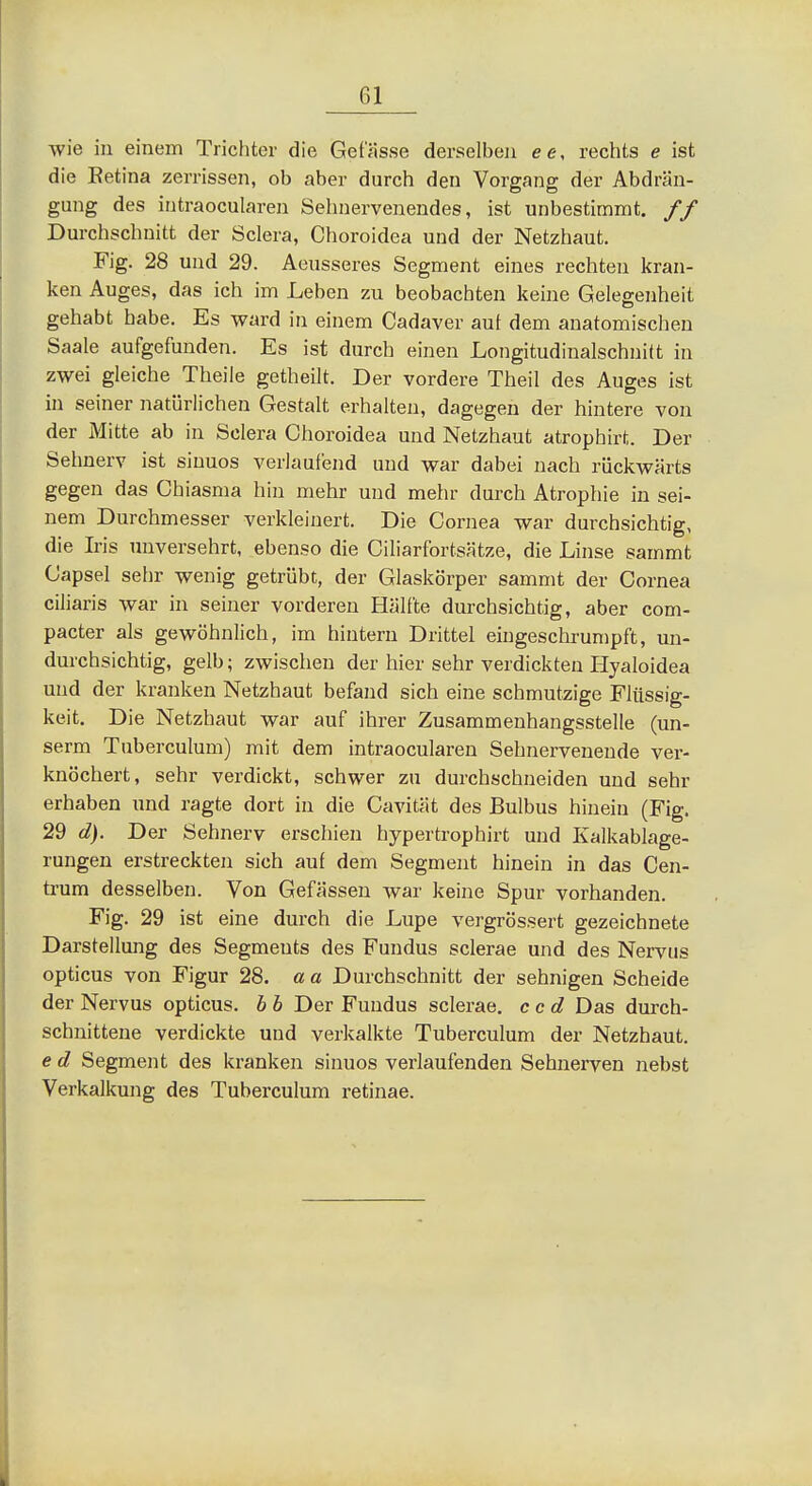 wie in einem Trichter die Gefässe derselben ee, rechts e ist die Eetina zerrissen, ob aber durch den Vorgang der Abdrän- gung des intraocularen Sehnervenendes, ist unbestimmt. // Durchschnitt der Sclera, Choroidea und der Netzhaut. Fig. 28 und 29. Aeusseres Segment eines rechten kran- ken Auges, das ich im Leben zu beobachten keine Gelegenheit gehabt habe. Es ward in einem Cadaver auf dem anatomischen Saale aufgefunden. Es ist durch einen Longitudinalschnitt in zwei gleiche Theile getheilt. Der vordere Theil des Auges ist in seiner natürlichen Gestalt erhalten, dagegen der hintere von der Mitte ab in Sclera Choroidea und Netzhaut atrophirt. Der Sehnerv ist sinuos verlaulend und war dabei nach rückwärts gegen das Chiasma hin mehr und mehr durch Atrophie in sei- nem Durchmesser verkleinert. Die Cornea war durchsichtig, die Iris unversehrt, ebenso die Ciliarfortsätze, die Linse sammt Capsel sehr wenig getrübt, der Glaskörper sammt der Cornea ciliaris war in seiner vorderen Hälfte durchsichtig, aber com- pacter als gewöhnlich, im hintern Drittel eingeschrumpft, un- durchsichtig, gelb; zwischen der hier sehr verdickten Hyaloidea und der kranken Netzhaut befand sich eine schmutzige Flüssig- keit. Die Netzhaut war auf ihrer Zusammenhangsstelle (un- serm Tuberculum) mit dem intraocularen Sehnervenende ver- knöchert, sehr verdickt, schwer zu durchschneiden und sehr erhaben und ragte dort in die Cavität des Bulbus hinein (Fig. 29 d). Der Sehnerv erschien hypertrophirt und Kalkablage- rungen erstreckten sieh auf dem Segment hinein in das Cen- trum desselben. Von Gefässen war keine Spur vorhanden. Fig. 29 ist eine durch die Lupe vergrössert gezeichnete Darstellung des Segments des Fundus sclerae und des Nervus opticus von Figur 28. a a Durchschnitt der sehnigen Scheide der Nervus opticus, b b Der Fundus sclerae, ccd Das durch- schnittene verdickte und verkalkte Tuberculum der Netzhaut. e d Segment des kranken sinuos verlaufenden Sehnerven nebst Verkalkung des Tuberculum retinae.