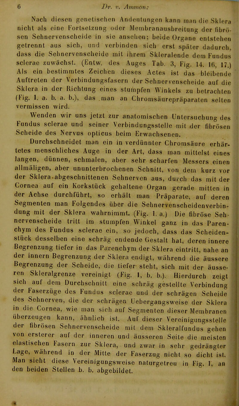 Nach diesen genetischen Andenlungen kann man die Sklera nicht als eine Fortsetzung oder Mcmbranausbreitung der fibrö- sen Sehnervenscheide in sie anselie«; beide Organe entstehen getrennt aus sich, und verbinden sich erst später dadurch, dass die Sehnervonscheido mit ihrem Skleralende dem Fundus scierae zuwächst. (Entw. des Auges Tab. 3, Fig. 14. 10, 17.) Als ein bestimmtes Zeichen dieses Actes ist das bleibende Auftreten der Verbindungsfasern der Sehnervenscheide auf die Sklera in der Richtung eines stumpfen Winkels zu betrachten (Fig. 1. a. b. a. b.), das man an Chromsäurepräparaten selten vermissen wird. Wenden wir uns jetzt zur anatomischen Untersuchung des Fundus scierae und seiner Verbindungsstelle mit :der fibrösen Scheide des Nervus opticus beim Erwachsenen. Durchschneidet man ein in verdünnter Chromsäure erhär- tetes menschliches Auge in der Art, dass man mittelst eines langen, dünnen, schmalen, aber sehr scharfen Messers einen allmäligen, aber ununterbrochenen Schnitt, von dem kurz vor der Sklera.abgeschnittenen Sehnerven aus, durch das mit der Cornea auf ein Korkstück gehaltene Organ gerade mitten in der Achse durchführt, so erhält man Präparate, auf deren Segmenten man Folgendes über die Sehnervenscheidenverbin- dung mit der Sklera wahrnimmt. (Fig. 1. a.) Die fibröse Seh- nervenscheide tritt im stumpfen Winkel ganz in das Paren- chym des Fundus scierae ein, so jedoch, dass das Scheiden- stück desselben eine schräg endende Gestalt hat, deren innere Begrenzung tiefer in das Parenchym der Sklera eintritt, nahe an der innern Begrenzung der Sklera endigt, während die äussere Begrenzung der Scheide, die tiefer steht, sich mit der äusse- ren Skleralgrenze vereinigt (Fig. 1, b. b.). Hierdurch zeigt sich auf dem Durchschnitt eine schräg gestellte Verbindung der Faserzüge des Fundus scierae und der schrägen Scheide des Sehnerven, die der schrägen üebergangsweise der Sklera in die Cornea, wie man sich auf Segmenten dieser Membranen überzeugen kann, ähnlich ist. Auf dieser Vereinigungsstelle der fibrösen Sehnervenscheide mit dem Skleralfundus gehen von ersterer auf der inneren und äusseren Seile die meisten elastischen Fasern zur Sklera, und zwar in sehr gedrängter Lage, während in der Mitte der Faserzug nicht so dicht ist. Man sieht diese Vereinigungsweise naturgetreu in Fig. 1, an den beiden Stellen b. b. abgebildet.