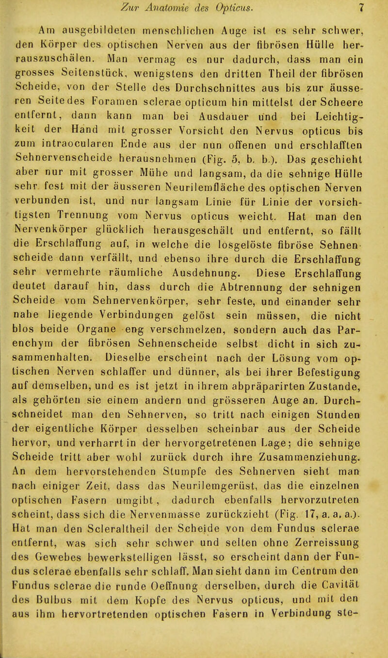 Am ausgebildeten menschlichen Auge ist es sehr schwer, den Körper des optischen Nerven aus der fibrösen Hülle her- rauszuschälen. Man vermag es nur dadurch, dass man ein grosses Seitenstück, wenigstens den dritten Theil der fibrösen Scheide, von der Stelle des Durchschnittes aus bis zur äusse- ren Seite des Foramen scierae opticum hin mittelst der Scheere entfernt, dann kann man bei Ausdauer und bei Leichtig- keit der Hand mit grosser Vorsicht den Nervus opticus bis zum intraocularen Ende aus der nun offenen und erschlaiTten Sehnervenscheide herausnehmen (Fig. 5, b. b.). Das geschieht aber nur mit grosser Mühe und langsam, da die sehnige Hülle sehr fest mit der äusseren Neurilemfläche des optischen Nerven verbunden ist, und nur langsam Linie für Linie der vorsich- tigsten Trennung vom Nervus opticus weicht. Hat man den Nervenkörper glücklich herausgeschält und entfernt, so fällt die Erschlaffung auf, in welche die losgelöste fibröse Sehnen- scheide dann verfällt, und ebenso ihre durch die Erschlaffung sehr vermehrte räumliche Ausdehnung. Diese Erschlaffung deutet darauf hin, dass durch die Abtrennung der sehnigen Scheide vom Sehnervenkörper, sehr feste, und einander sehr nahe liegende Verbindungen gelöst sein müssen, die nicht blos beide Organe en^g verschmelzen, sondern auch das Par- enchym der fibrösen Sehnenscheide selbst dicht in sich zu- sammenhalten. Dieselbe erscheint nach der Lösung vom op- tischen Nerven schlaffer und dünner, als bei ihrer Befestigung auf demselben, und es ist jetzt in ihrem abpräparirten Zustande, als gehörten sie einem andern und grösseren Auge an. Durch- schneidet man den Sehnerven, so tritt nach einigen Stunden der eigentliche Körper desselben scheinbar aus der Scheide hervor, und verharrt in der hervorgetretenen Lage; die sehnige Scheide tritt aber wohl zurück durch ihre Zusammenziehung. An dem hervorstehenden Stumpfe des Sehnerven sieht man nach einiger Zeit, dass das Neurilemgerüst, das die einzelnen optischen Fasern umgibt, dadurch ebenfalls hervorzutreten scheint, dass sich die Nervenmasse zurückzieht (Fig. 17, a. a.a.). Hat man den Scieraltheil der Scheide von dem Fundus scierae entfernt, was sich sehr schwer und selten ohne Zerreissung des Gewebes bewerkstelligen lässt, so erscheint dann der Fun- dus scierae ebenfalls sehr schlaff. Man sieht dann im Centrum den Fundus scierae die runde Oeffnung derselben, durch die Cavität des Bulbus mit dem Kopfe des Nervus opticus, und mit den aus ihm hervortretenden optischen Fasern in Verbindung ste-