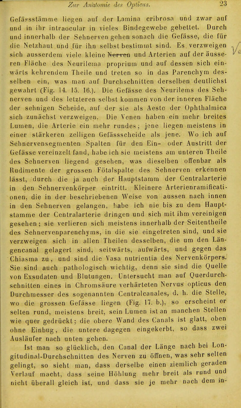 Gefä?sslämme liegen auf der Lamin.i cribrosa und zwar auf und in ihr intraocuiar in vieles Bindegewebe gebettet. Durch und innerhalb der Sehnerven gehen sonach die Gefässe, die für die Netzhaut und Jür ihn selbst bestimmt sind. Es verzweigen sich ausserdem viele kleine Nerren und Arterien auf der äusse- ren Fläche des Neurilema proprium und auf dessen sich ein- wärts kehrendem Theile und treten so in das Parenchym des- selben ein, was man auf Durchschnitten derselben deutlichst gewahrt (Fig. 14. 15. 16.). Die Gefässe des Neurilems des Seh- nerven und des letzteren selbst kommen von der inneren Fläche der sehnigen Scheide, auf der sie als Aesto der Ophthalmica sich zunächst verzweigen. Die Venen haben ein mehr breites Lumen, die Arterie ein mehr rundes; jene liegen meistens in einer stärkeren zelligen Gefässscheide als jene. Wo ich auf Sehnervensegmenten Spalten für den Ein- oder Austritt der Gefässe vereinzelt fand, habe ich sie meistens am unteren Theile des Sehnerven liegend gesehen, was dieselben offenbar als Rudimente der grossen Fötalspalte des Sehnerven erkennen lässt, durch die ja auch der Hauptstamm der Centraiarterie in den Sehnervenkörper eintritt. Kleinere Arterienramificati- onen, die in der beschriebenen Weise von aussen nach innen in den Sehnerven gelangen, habe ich nie bis zu dem Haupt- stamme der Centraiarterie dringen und sich mit ihm vereinigen gesehen ; sie verlieren sich meistens innerhalb der Seitentheile des Sehnervenparenchyms, in die sie eingetreten sind, und sie verzweigen sich in allen Theilen desselben, die um den Län- gencanal gelagert sind, seitwärts, aufwärts, und gegen das Chiasma zu, und sind die Vasa nutrientia des Nervenkörpers. Sie sind auch pathologisch wichtig, denn sie sind die Quelle von Exsudaten und Blutungen. Untersucht man auf Querdurch- schnitten eines in Chromsäure verhärteten Nervusr opticus den Durchmesser des sogenannten Centralcanales, d. h. die Stelle, wo die grossen Gefässe liegen (Fig. 17. b.), so erscheint er selten rund, meistens breit, sein Lumen ist an manchen Stellen wie quer gedrückt; die obere Wand des Canals ist glatt, oben ohne Einbug, die untere dagegen eingekerbt, so dass zwei Ausläufer nach unten gehen. Ist man so glücklich, den Canal der Länge nach bei Lon- gitudinal-Durchschnitten des Nerven zu öffnen, was sehr selten gelingt, so sieht man, dass derselbe einen ziemlich geraden Verlauf macht, dass seine Höhlung mehr breit als rund und nicht überall gleich ist, und dass sie je mehr nach dem in-