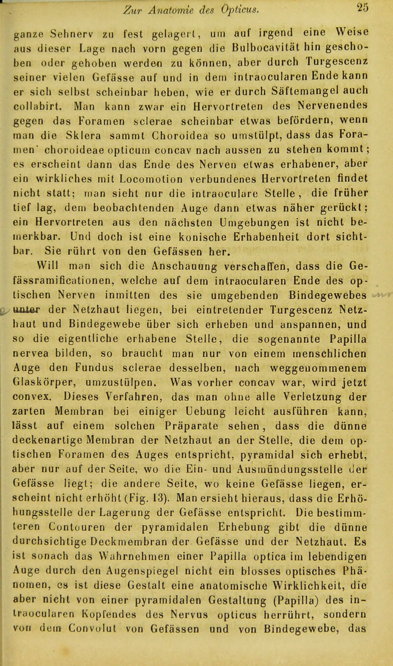 ganze Sehnerv zu fest gelagerl, um auf irgend eine Weise aus dieser Lage nach vorn gegen die Bulbocavität hin gescho- ben oder gehoben werden zu können, aber durch Turgescenz seiner vielen Gefässe auf und in dem inlraocularen Ende kann er sich selbst scheinbar heben, wie er durch Säftemangel auch collabirt. Man kann zwar ein Hervortreten des Nervenendes gegen das Foramen scierae scheinbar etwas befördern, wenn man die Sklera sammt Choroidea so umstülpt, dass das Fora- men' choroideae oplicum concav nach aussen zu stehen kommt; es erscheint dann das Ende des Nerven etwas erhabener, aber ein wirkliches mit Locomotion verbundenes Hervortreten findet nicht statt; man sieht nur die intraoculare Stelle , die früher tief lag, dem beobachtenden Auge dann etwas näher gerückt; ein Hervortreten aus den nächsten Umgebungen ist nicht be- merkbar. Und doch ist eine konische Erhabenheit dort sicht- bar. Sie rührt von den Gefässen her. Will man sich die Anschauung verschaffen, dass die Ge- fässramificationen, welche auf dem intraocularen Ende des op- tischen Nerven inmitten des sie umgebenden Bindegewebes luUAr der Netzhaut liegen, bei eintretender Turgescenz Netz- haut und Bindegewebe über sich erheben und anspannen, und so die eigentliche erhabene Stelle, die sogenannte Papilla nervea bilden, so braucht man nur von einem menschlichen Auge den Fundus scierae desselben, nach weggenommenem Glaskörper, umzustülpen. Was vorher concav war, wird jetzt convex. Dieses Verfahren, das man ohne alle Verletzung der zarten Membran bei einiger Uebung leicht ausführen kann, lässt auf einem solchen Präparate sehen, dass die dünne deckenartige Membran der Netzhaut an der Stelle, die dem op- tischen Foramen des Auges entspricht, pyramidal sich erhebt, aber nur auf der Seite, wo die Ein- und Ausmündungsstelle der Gefässe liegt; die andere Seite, wo keine Gefässe liegen, er- scheint nicht erhöht (Fig. 13). Man ersieht hieraus, dass die Erhö- hungsstelle der Lagerung der Gefässe entspricht. Die bestimm- leren Contouren der pyramidalen Erhebung gibt die dünne durchsichtige Deckmembran der Gefässe und der Netzhaut. Es ist sonach das Wahrnehmen einer Papilla optica im lebendigen Auge durch den Augenspiegel nicht ein blosses optisches Phä- nomen, es ist diese Gestalt eine anatomische Wirklichkeit, die aber nicht von einer pyramidalen Gestaltung (Papilla) des in- traocularen Kopfendes des Nervus opticus herrührt, sondern von dem Convolut von Gefässen und von Bindegewebe, das