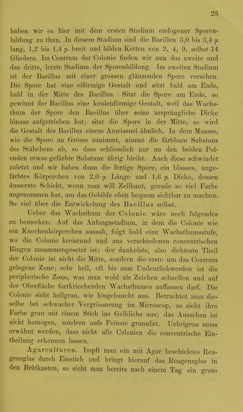 haben wir es hier mit dem ersten Stadium endogener Sporen- bildung zu fchun. In diesem Stadium sind die Bacillen 3,0 bis 3,4 [i lang, 1,2 bis 1,4 {j. breit und bilden Ketten von 2, 4, 9, selbst 14 Gliedern. Im Centrum der Colonie rinden wir nun das zweite und das dritte, letzte Stadium der Sporenbildung. Im zweiten Stadium ist der Bacillus mit einer grossen glänzenden Spore verschon. Die Spore hat eine eiförmige Gestalt und sitzt bald am Ende, bald in der Mitte des Bacillus. Sitzt die Spore am Ende, so gewinnt der Bacillus eine keulenförmige Gestalt, weil das Wachs- thum der Spore den Bacillus über seine ursprüngliche Dicke hinaus aufgetrieben hat; sitzt die Spore in der Mitte, so wird die Gestalt des Bacillus einem Ameisenei ähnlich. In dem Maasse, wie die Spore an Grösse zunimmt, nimmt die färbbare Substanz des Stäbchens ab, so dass schliesslich nur an den beiden Pol- enden etwas gefärbte Substanz übrig bleibt. Auch diese schwindet zuletzt und wir haben dann die fertige Spore, ein blasses, unge- färbtes Körperchen von 2,0 [jl Länge und 1,6 u, Dicke, dessen äusserste Schicht, wenn man will Zellhaut, gerade so viel Farbe angenommen hat, um das Gebilde eben bequem sichtbar zu machen. So viel über die Entwickelung des Bacillus selbst. Ueber das Wachsthum der Colonie wäre noch folgendes zu bemerken: Auf das Anfangsstadium, in dem die Colonie wie ein Knochenkörperchen aussah, folgt bald eine Wachsthumsstufe, wo die Colonie kreisrund und aus verschiedenen concentrischen Ringen zusammengesetzt ist; der dunkelste, also dichteste Theil der Colonie ist nicht die Mitte, sondern die erste um das Centrum gelegene Zone; sehr hell, oft bis zum Undeutlichwerden ist die peripherische Zone, was man wohl als Zeichen schnellen und auf (Ii i- Oberfläche fortkriechenden Wachsthumes auffassen darf. Die Colonie sieht hellgrau, wie hingehaucht aus. Betrachtet man die- selbe bei schwacher Yergrösserung im Microscop, so sieht ihre Farbe grau mit einem Stich ins Gelbliche aus; das Aussehen ist nicht homogen, sondern aufs Feinste granulirt. Uebrigens muss erwähnt werden, dass nicht alle Colonien die concentrische Ein- theilung erkennen lassen. Agarculturcn. Impft man ein mit Agar beschicktes Rea- genzglas durch Einstich und bringt hierauf das Reagenzglas in den Brütkasten, so sieht man bereits nach einem Tag ein grau-.
