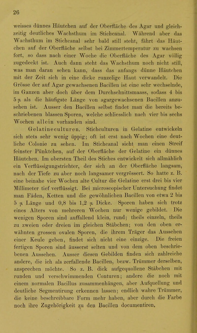 weisses dünnes Häutchen auf der Oberfläche des Agar und gleich- zeitig deutliches Wachsthum im Stichcanal. Während aber das Wachsthum im Stichcanal sehr bald still steht, fährt das Häut- chen auf der Oberfläche selbst bei Zimmertemperatur zu wachsen fort, so dass nach einer Woche die Oberfläche des Agar völlig zugedeckt ist. Auch dann steht das Wachsthum noch nicht still, was man daran sehen kann, dass das anfangs dünne Häutchen mit der Zeit sich in eine dicke runzelige Haut verwandelt. Die Grösse der auf Agar gewachsenen Bacillen ist eine sehr wechselnde, im Ganzen aber doch über dem Durchschnittsmaass, sodass 4 bis 5 ji als die häufigste Länge von agargewachsenen Bacillen anzu- sehen ist. Ausser den Bacillen selbst findet man die bereits be- schriebenen blassen Sporen, welche schliesslich nach vier bis sechs Wochen allein vorhanden sind. Gelatineculturen. Stichculturen in Gelatine entwickeln sich stets sehr wenig üppig; oft ist erst nach Wochen eine deut- liche Colonie zu sehen. Im Stichcanal sieht man einen Streif feinster Pünktchen, auf der Oberfläche der Gelatine ein dünnes Häutchen. Im obersten Theil des Stiches entwickelt sich allmählich ein Verfiüssigungstrichter, der sich an der Oberfläche langsam, nach der Tiefe zu aber noch langsamer vergrössert. So hatte z. B. eine beinahe vier Wochen alte Cultur die Gelatine erst drei bis vier Millimeter tief verflüssigt. Bei microscopischer Untersuchung findet man Fäden, Ketten und die gewöhnlichen Bacillen von etwa 2 bis 5 \l Länge und 0,8 bis 1,2 Dicke. Sporen haben sich trotz eines Alters von mehreren Wochen nur wenige gebildet. Die wenigen Sporen sind auffallend klein, rund; theils einzeln, theils zu zweien oder dreien im gleichen Stäbchen; von den oben er- wähnten grossen ovalen Sporen, die ihrem Träger das Aussehen einer Keule geben, findet sich nicht eine einzige. Die freien fertigen Sporen sind äusserst selten und von dem oben beschrie- benen Aussehen. Ausser diesen Gebilden finden sich zahlreiche andere, die ich als zerfallende Bacillen, bezw. Trümmer derselben, ansprechen möchte. So z. B. dick aufgequollene Stäbchen mit runden und verschwimmenden Conturen; andere die noch mit einem normalen Bacillus zusammenhängen, aber Aufquellung und deutliche Segmentirung erkennen lassen; endlich wahre Trümmer, die keine beschreibbarc Form mehr haben, aber durch die Farbe noch ihre Zugehörigkeit zu den Bacillen documentiren.