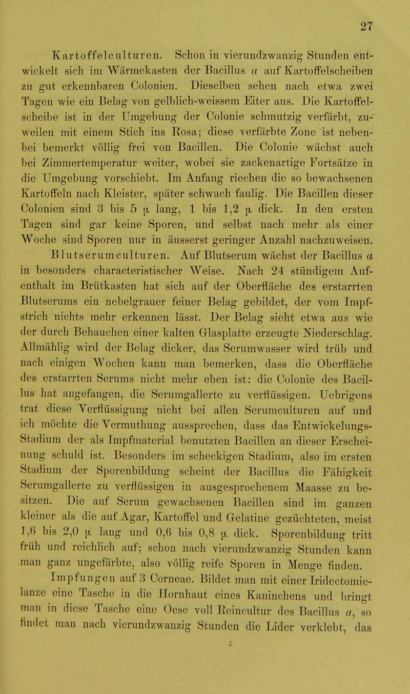 Kartoffelculturen. Schon in vierundzwanzig; Stunden ent- wickelt sich im Wärinckasten der Bacillus a auf Kartoffelscheiben zu gut erkennbaren Colonien. Dieselben sehen nach etwa zwei Tagen wie ein Belag von gelblich-weissem Eiter aus. Die Kartoffel- scheibe ist in der Umgebung der Colonie schmutzig verfärbt, zu- weilen mit einem Stich ins Eosa; diese verfärbte Zone ist neben- bei bemerkt völlig frei von Bacillen. Die Colonie wächst auch bei Zimmertemperatur weiter, wobei sie zackenartige Fortsätze in die Umgebung vorschiebt. Im Anfang riechen die so bewachsenen Kartoffeln nach Kleister, später schwach faulig. Die Bacillen dieser Colonien sind 3 bis 5 u, lang, 1 bis 1,2 u, dick. In den ersten Tagen sind gar keine Sporen, und selbst nach mehr als einer Woche sind Sporen nur in äusserst geringer Anzahl nachzuweisen. Blutserumculturen. Auf Blutserum wächst der Bacillus a in besonders characteristischer Weise. Nach 24 stündigem Auf- enthalt im Brütkasten hat sich auf der Oberfläche des erstarrten Blutserums ein nebelgrauer feiner Belag gebildet, der vom Impf- strich nichts mehr erkennen lässt. Der Belag sieht etwa aus wie der durch Behauchen einer kalten Glasplatte erzeugte Niederschlag. Allmählig wird der Belag dicker, das Serumwasser wird trüb und nach einigen Wochen kann man bemerken, dass die Oberfläche des erstarrten Serums nicht mehr eben ist: die Colonie des Bacil- lus hat augefangen, die Serumgallertc zu verflüssigen. Uebrigens trat diese Verflüssigung nicht bei allen Serumculturen auf und ich möchte die Vermuthung aussprechen, dass das Entwickelungs- Stadium der als Impfmaterial benutzten Bacillen an dieser Erschei- nung schuld ist. Besonders im scheckigen Stadium, also im ersten Stadium der Sporenbildung scheint der Bacillus die Fähigkeit Serumgallerte zu verflüssigen in ausgesprochenem Maasse zu be- sitzen. Die auf Serum gewachsenen Bacillen sind im ganzen kleiner als die auf Agar, Kartoffel und Gelatine gezüchteten, meist 1,6 bis 2,0 u. lang und 0,6 bis 0,8 u. dick. Sporcnbildung tritt früh und reichlich auf; schon nach vierundzwanzig Stunden kann man ganz ungefärbte, also völlig reife Sporen in Menge finden. Impfungen auf 3 Corneae. Bildet man mit einer Iridcctomie- lanze eine Tasche in die Hornhaut eines Kaninchens und bringt man in diese Tasche eine Oese voll Rcincultur des Bacillus a, so findet man nach vicrundzwanzig Stunden die Lider verklebt, das