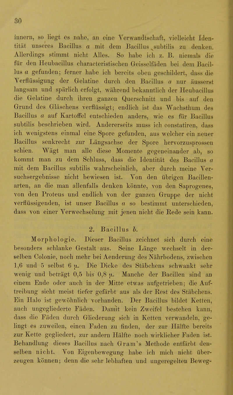 innern, so liegt es nahe, an eine Verwandtschaft, vielleicht Iden- tität unseres Bacillus a mit dem Bacillus ^subtilis zu denken. Allerdings stimmt nicht Alles. So habe ich z. B. niemals die für den Houbacillus charactoristischen Ghiisselfaden hei dem Bacil- lus a gefunden; ferner habe ich bereits oben geschildert, dass die Verflüssigung der Gelatine durch den Bacillus a nur äusserst langsam und spärlich erfolgt, während bekanntlich der Heubacillus die Gelatine durch ihren ganzen Querschnitt und bis auf den Grund des Gläschens verflüssigt; endlich ist das Wachsthum des Bacillus a auf Kartoffel entschieden anders, wie es für Bacillus subtilis beschrieben wird. Andererseits muss ich constatiren, dass ich wenigstens einmal eine Spore gefunden, aus welcher ein neuer Bacillus senkrecht zur Längsachse der Spore hervorzusprossen schien. Wägt man alle diese Momente gegeneinander ab, so kommt man zu dem Schluss, dass die Identität des Bacillus a mit dem Bacillus subtilis wahrscheinlich, aber durch meine Ver- suchsergebnisse nicht bewiesen ist. Yon den übrigen Bacillen- arten, an die man allenfalls denken könnte, von den Saprogenes, von den Proteus und endlich von der ganzen Gruppe der nicht verflüssigenden, ist unser Bacillus a so bestimmt unterschieden, dass von einer Verwechselung mit jenen nicht die Rede sein kann. 2. Bacillus b. Morphologie. Dieser Bacillus zeichnet sich durch eine besonders schlanke Gestalt aus. Seine Länge wechselt in der- selben Colonie, noch mehr bei Aenderung des Nährbodens, zwischen 1,6 und 5 selbst G ja. Die Dicke des Stäbchens schwankt sehr wenig und beträgt 0,5 bis 0,8 u,. Manche der Bacillen sind an einem Ende oder auch in der Mitte etwas aufgetrieben; die Auf- treibung sieht meist tiefer gefärbt aus als der Rest des Stäbchens. Ein Ilalo ist gewöhnlich vorhanden. Der Bacillus bildet Ketten, auch ungegliederte Fäden. Damit kein Zweifel bestehen kann, dass die Fäden durch Gliederung sich in Ketten verwandeln, ge- lingt es zuweilen, einen Faden zu finden, der zur Hälfte bereits zur Kette gegliedert, zur andern Hälfte noch wirklicher Faden ist. Behandlung dieses Bacillus nach Gram's Methode entfärbt den- selben nicht. Von Eigenbewegung habe ich mich nicht über- zeugen können; denn die sehr lebhaften und ungeregelten Beweg-