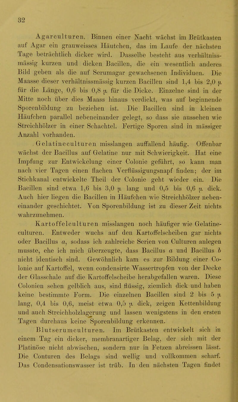 Agarculturcn. Binnen einer Nacht wächst im Brutkasten auf Agar ein grauweisses Häutchen, das im Laufe der nächsten Tage beträchtlich dicker wird. Dasselbe besteht aus verhältniss- mässig kurzen und dicken Bacillen, die ein wesentlich anderes Bild geben als die auf Serumagar gewachsenen Individuen. Die Maasse dieser verhältnissmässig kurzen Bacillen sind 1,4 bis 2,0 (t für die Länge, 0,6 bis 0,8 u, für die Dicke. Einzelne sind in der Mitte noch über dies Maass hinaus verdickt, was auf beginnende Sporenbildung zu beziehen ist. Die Bacillen sind in kleinen Häufchen parallel nebeneinander gelegt, so dass sie aussehen wie Streichhölzer in einer Schachtel. Fertige Sporen sind in massiger Anzahl vorhanden. Gelatineculturen misslangen auffallend häufig. Offenbar wächst der Bacillus auf Gelatine nur mit Schwierigkeit. Hat eine Impfung zur Entwickelung einer Colonie geführt, so kann man nach vier Tagen einen flachen Verflüssigungsnapf finden; der im Stichkanal entwickelte Theil der Colonie geht wieder ein. Die Bacillen sind etwa 1,6 bis 3,0 u. lang und 0,5 bis 0,6 u. dick. Auch hier liegen die Bacillen in Häufchen wie Streichhölzer neben- einander geschichtet. Von Sporenbildung ist zu dieser Zeit nichts wahrzunehmen. Kartoffelculturen misslangen noch häufiger wie Gelatine- culturen. Entweder wuchs auf den Kartoffelscheiben gar nichts oder Bacillus «, sodass ich zahlreiche Serien von Culturen anlegen musste, ehe ich mich überzeugte, dass Bacillus a und Bacillus b nicht identisch sind. Gewöhnlich kam es zur Bildung einer Co- lonie auf Kartoffel, wenn condensirte Wassertropfen von der Decke der Glasschale auf die Kartoffelscheibe herabgefallen waren. Diese Colonien sehen gelblich aus, sind flüssig, ziemlich dick und haben keine bestimmte Form. Die einzelnen Bacillen sind 2 bis 5 u. lang, 0,4 bis 0,6, meist etwa 0,5 ja dick, zeigen Kettenbilduug und auch Streichholzlagerung und lassen wenigstens in den ersten Tagen durchaus keine Sporenbildung erkennen. Blutserum culturen. Im Brütkasten entwickelt sich in einem Tag ein dicker, membranartiger Belag, der sich mit der Platinöse nicht abwischen, sondern nur in Fetzen abreissen lässt Die Conturen des Belags sind wellig und vollkommen scharf. Das Condensationswasser ist trüb. In den nächsten Tagen findet