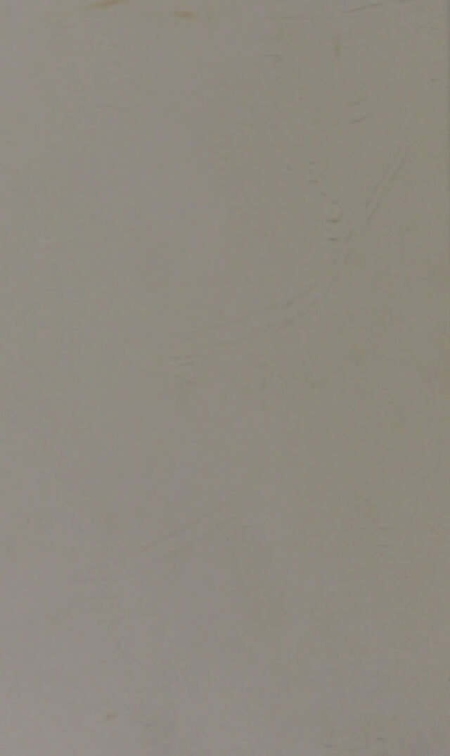 digitised image 2