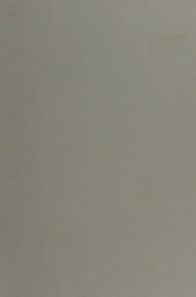 digitised image 1