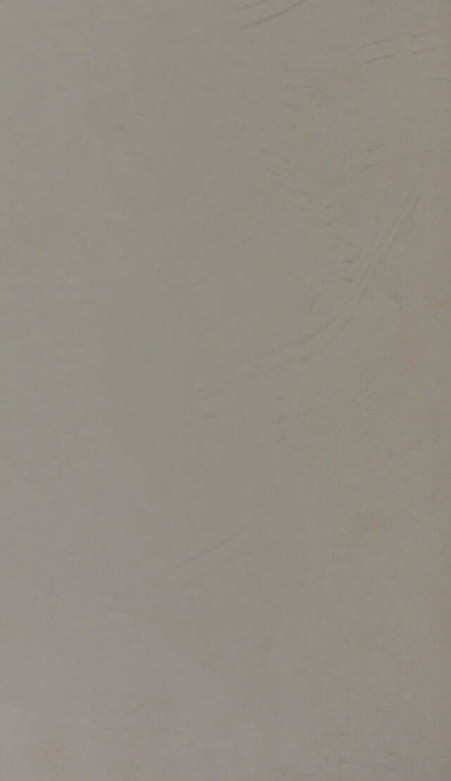 digitised image 2