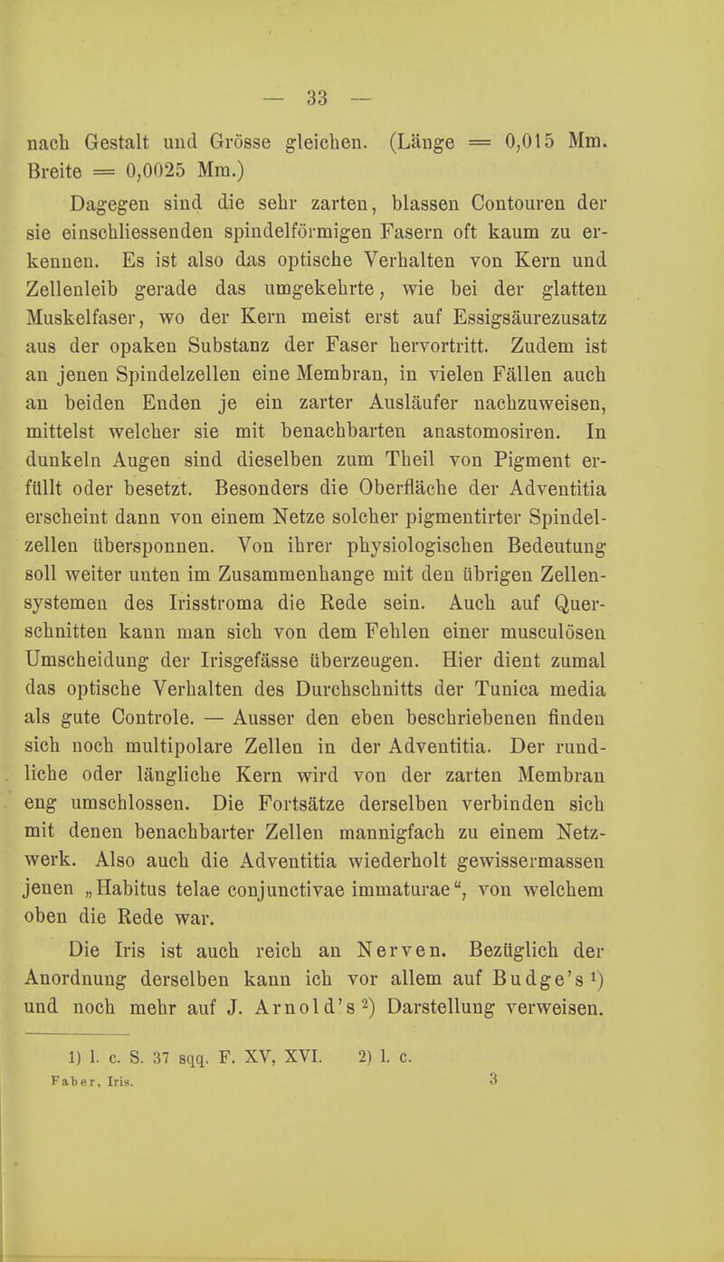 nach Gestalt und Grösse gleichen. (Länge = 0,015 Mm. Breite = 0,0025 Mm.) Dagegen sind die sehr zarten, blassen Contouren der sie einschliessenden spindelförmigen Fasern oft kaum zu er- kennen. Es ist also das optische Verhalten von Kern und Zellenleib gerade das umgekehrte, wie bei der glatten Muskelfaser, wo der Kern meist erst auf Essigsäurezusatz aus der opaken Substanz der Faser hervortritt. Zudem ist an jenen Spindelzellen eine Membran, in vielen Fällen auch an beiden Enden je ein zarter Ausläufer nachzuweisen, mittelst welcher sie mit benachbarten anastomosiren. In dunkeln Augen sind dieselben zum Theil von Pigment er- füllt oder besetzt. Besonders die Oberfläche der Adventitia erscheint dann von einem Netze solcher pigmentirter Spindel- zellen übersponnen. Von ihrer physiologischen Bedeutung soll weiter unten im Zusammenhange mit den übrigen Zellen- systemen des Irisstroma die Rede sein. Auch auf Quer- schnitten kann man sich von dem Fehlen einer musculösen Umscheiclung der Irisgefässe überzeugen. Hier dient zumal das optische Verhalten des Durchschnitts der Tunica media als gute Controle. — Ausser den eben beschriebenen finden sich noch multipolare Zellen in der Adventitia. Der rund- liche oder längliche Kern wird von der zarten Membran eng umschlossen. Die Fortsätze derselben verbinden sich mit denen benachbarter Zellen mannigfach zu einem Netz- werk. Also auch die Adventitia wiederholt gewissermassen jenen „Habitus telae conjunctivae immaturae, von welchem oben die Rede war. Die Iris ist auch reich an Nerven. Bezüglich der Anordnung derselben kann ich vor allem auf Budge's1) und noch mehr auf J. Arnold's2) Darstellung verweisen. 1) 1. c. S. 37 sqq. F. XV, XVI. 2) 1. c. Fat)er, Iris. 3