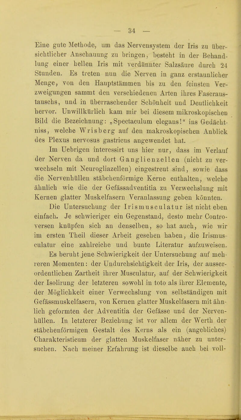 Eine gute Methode, um das Nervensystem der Iris zu über- sichtlicher Anschauung zu bringen, besteht in der Behand- lung einer hellen Iris mit verdünnter Salzsäure durch 24 Stunden. Es treten nun die Nerven in ganz erstaunlicher Menge, von den Hauptstämmen bis zu den feinsten Ver- zweigungen sammt den verschiedenen Arten ihres Faseraus- tauschs, und in überraschender Schönheit und Deutlichkeit hervor. Unwillkürlich kam mir bei diesem mikroskopischen Bild die Bezeichnung: „Spectaculum elegans! ins Gedächt- niss, welche Wrisberg auf den makroskopischen Anblick des Plexus nervosus gastricus angewendet hat. Im Uebrigen interessirt uns hier nur, dass im Verlauf der Nerven da und dort Ganglienzellen (nicht zu ver- wechseln mit Neurogliazellen) eingestreut sind, sowie dass die Nervenhüllen stäbchenförmige Kerne enthalten, welche ähnlich wie die der Gefässadventitia zu Verwechslung mit Kernen glatter Muskelfasern Veranlassung geben könnten. Die Untersuchung der Irismusculatur ist nicht eben einfach. Je schwieriger ein Gegenstand, desto mehr Contro- versen knüpfen sich an denselben, so hat auch, wie wir im ersten Theil dieser Arbeit gesehen haben, die Irismus culatur eine zahlreiche und bunte Literatur aufzuweisen. Es beruht jene Schwierigkeit der Untersuchung auf meh- reren Momenten: der Undurchsichtigkeit der Iris, der ausser- ordentlichen Zartheit ihrer Musculatur, auf der Schwierigkeit der Isolirung der letzteren sowohl in toto als ihrer Elemente, der Möglichkeit einer Verwechslung von selbständigen mit Gefässmuskelfasern, von Kernen glatter Muskelfasern mit ähn- lich geformten der Adventitia der Gefässe und der Nerven- hüllen. In letzterer Beziehung ist vor allem der Werth der stäbchenförmigen Gestalt des Kerns als ein (angebliches) Charakteristicum der glatten Muskelfaser näher zu unter- suchen. Nach meiner Erfahrung ist dieselbe auch bei voll-