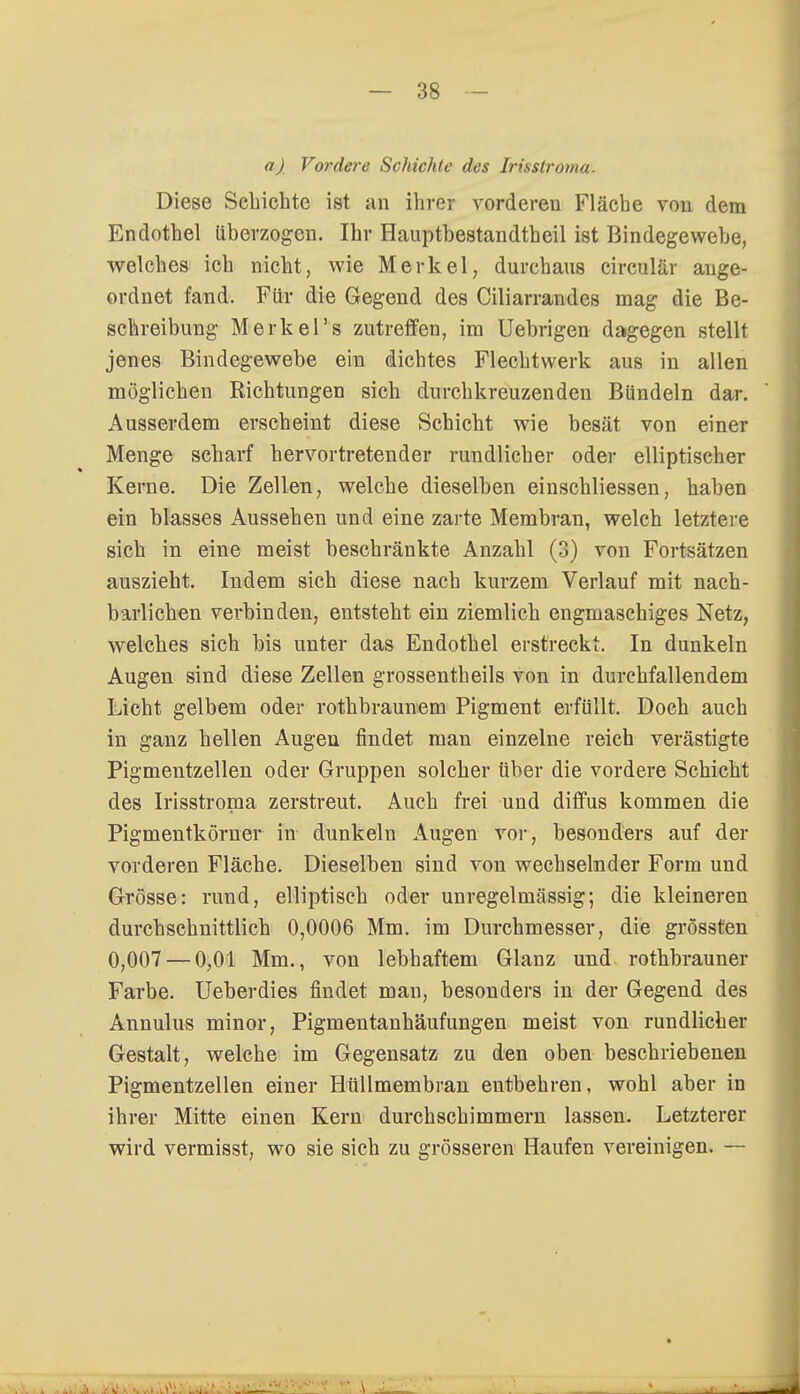 a)_ Vordere Schichte des Irisstroma. Diese Schichte ist an ihrer vorderen Fläche von dem Endothel überzogen. Ihr Hauptbestandteil ist Bindegewebe, welches ich nicht, wie Merkel, durchaus circulär ange- ordnet fand. Für die Gegend des Ciliarrandes mag die Be- schreibung Merkel's zutreffen, im Uebrigen dagegen stellt jenes Bindegewebe ein dichtes Flechtwerk aus in allen möglichen Richtungen sich durchkreuzenden Bündeln dar. Ausserdem erscheint diese Schicht wie besät von einer Menge scharf hervortretender rundlicher oder elliptischer Kerne. Die Zellen, welche dieselben einschliessen, haben ein blasses Aussehen und eine zarte Membran, welch letztere sich in eine meist beschränkte Anzahl (3) von Fortsätzen auszieht. Indem sich diese nach kurzem Verlauf mit nach- barlichen verbinden, entsteht ein ziemlich engmaschiges Netz, welches sich bis unter das Endothel erstreckt. In dunkeln Augen sind diese Zellen grossentheils von in durchfallendem Licht gelbem oder rothbraunem Pigment erfüllt. Doch auch in ganz hellen Augen findet man einzelne reich verästigte Pigmentzellen oder Gruppen solcher über die vordere Schicht des Irisstroma zerstreut. Auch frei und diffus kommen die Pigmentkörner in dunkeln Augen vor, besonders auf der vorderen Fläche. Dieselben sind von wechselnder Form und Grösse: rund, elliptisch oder unregelmässig; die kleineren durchschnittlich 0,0006 Mm. im Durchmesser, die grössten 0,007 — 0,01 Mm., von lebhaftem Glanz und rothbrauner Farbe. Ueberdies findet man, besonders in der Gegend des Annulus minor, Pigmentanhäufungen meist von rundlicher Gestalt, welche im Gegensatz zu den oben beschriebenen Pigmentzellen einer Hüllmembran entbehren, wohl aber in ihrer Mitte einen Kern durchschimmern lassen. Letzterer wird vermisst, wo sie sich zu grösseren Haufen vereinigen. —