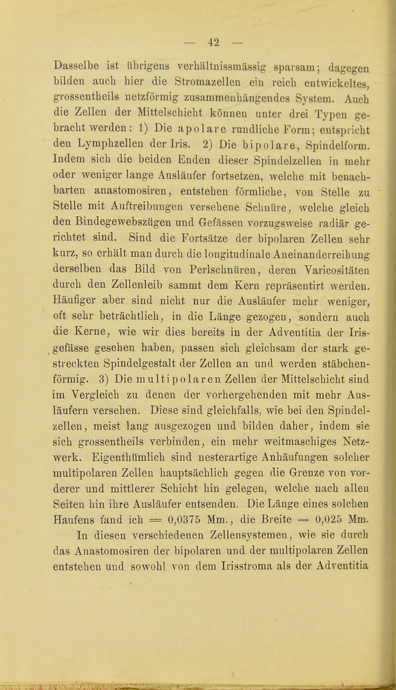 Dasselbe ist übrigens verhältnissmässig sparsam; dagegen bilden aucb liier die Stromazellen ein reich entwickeltes, grossentbeils netzförmig zusammenhängendes System. Auch die Zellen der Mittelschicht können unter drei Typen ge- bracht werden: 1) Die apolare rundliche Form; entspricht den Lymphzellen der Iris. 2) Die bipolare, Spindelform. Indem sich die beiden Enden dieser Spindelzellen in mehr oder weniger lange Ausläufer fortsetzen, welche mit benach- barten anastomosiren, entstehen förmliche, von Stelle zu Stelle mit Auftreibungen versehene Schnüre, welche gleich den Bindegewebszügen und Gefässen vorzugsweise radiär ge- richtet sind. Sind die Fortsätze der bipolaren Zellen sehr kurz, so erhält man durch die longitudinale Aneinanderreihung derselben das Bild von Perlschnüren, deren Varicositäten durch den Zellenleib sammt dem Kern repräsentirt werden. Häufiger aber sind nicht nur die Ausläufer mehr weniger, oft sehr beträchtlich, in die Länge gezogen, sondern auch die Kerne, wie wir dies bereits in der Adventitia der Iris- gefässe gesehen haben, passen sich gleichsam der stark ge- streckten Spindelgestalt der Zellen an und werden stäbchen- förmig. 3) Die multipolaren Zellen der Mittelschicht sind im Vergleich zu denen der vorhergehenden mit mehr Aus- läufern versehen. Diese sind gleichfalls, wie bei den Spindel- zellen, meist lang ausgezogen und bilden daher, indem sie sich grossentbeils verbinden, ein mehr weitmaschiges Netz- werk. Eigenthümlich sind nesterartige Anhäufungen solcher multipolaren Zellen hauptsächlich gegen die Grenze von vor- derer und mittlerer Schicht hin gelegen, welche nach allen Seiten hin ihre Ausläufer entsenden. Die Länge eines solchen Haufens fand ich = 0,0375 Mm., die Breite = 0,025 Mm. In diesen verschiedenen Zellensystemen, wie sie durch das Anastomosiren der bipolaren und der multipolaren Zellen entstehen und sowohl von dem Irisstroma als der Adventitia