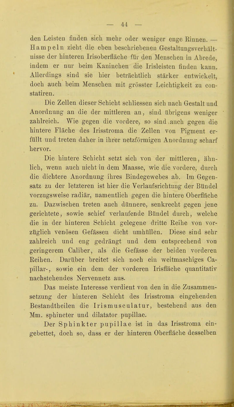 den Leisten finden sich mehr oder weniger enge Rinnen. — Hampeln zieht die eben beschriebenen Gestaltungsverhält- nisse der hinteren Irisoberfläche für den Menschen in Abrede, indem er nur beim Kaninchen die Irisleisten finden kann. Allerdings sind sie hier beträchtlich stärker entwickelt, doch auch beim Menschen mit grösster Leichtigkeit zu con- statiren. Die Zellen dieser Schicht schliessen sich nach Gestalt und Anordnung an die der mittleren an, sind übrigens weniger zahlreich. Wie gegen die vordere, so sind auch gegen die hintere Fläche des Irisstroma die Zellen von Pigment er- füllt und treten daher in ihrer netzförmigen Anordnung scharf hervor. Die hintere Schicht setzt sich von der mittleren, ähn- lich, wenn auch nicht in dem Maasse, wie die vordere, durch die dichtere Anordnung ihres Bindegewebes ab. Im Gegen- satz zu der letzteren ist hier die Verlaufsrichtung der Bündel vorzugsweise radiär, namentlich gegen die hintere Oberfläche zu. Dazwischen treten auch dünnere, senkrecht gegen jene gerichtete, sowie schief verlaufende Bündel durch, welche die in der hinteren Schicht gelegene dritte Reihe von vor- züglich venösen Gefässen dicht umhüllen. Diese sind sehr zahlreich und eng gedrängt und dem entsprechend von geringerem Caliber, als die Gefässe der beiden vorderen Reihen. Darüber breitet sich noch ein weitmaschiges Ca- pillar-, sowie ein dem der vorderen Irisfläche quantitativ nachstehendes Nervennetz aus. Das meiste Interesse verdient von den in die Zusammen- setzung der hinteren Schicht des Irisstroma eingehenden Bestandtheilen die Irismusculatur, bestehend aus den Mm. sphincter und dilatator pupillae. Der Sphinkter pupillae ist in das Irisstroma ein- gebettet, doch so, dass er der hinteren Oberfläche desselben