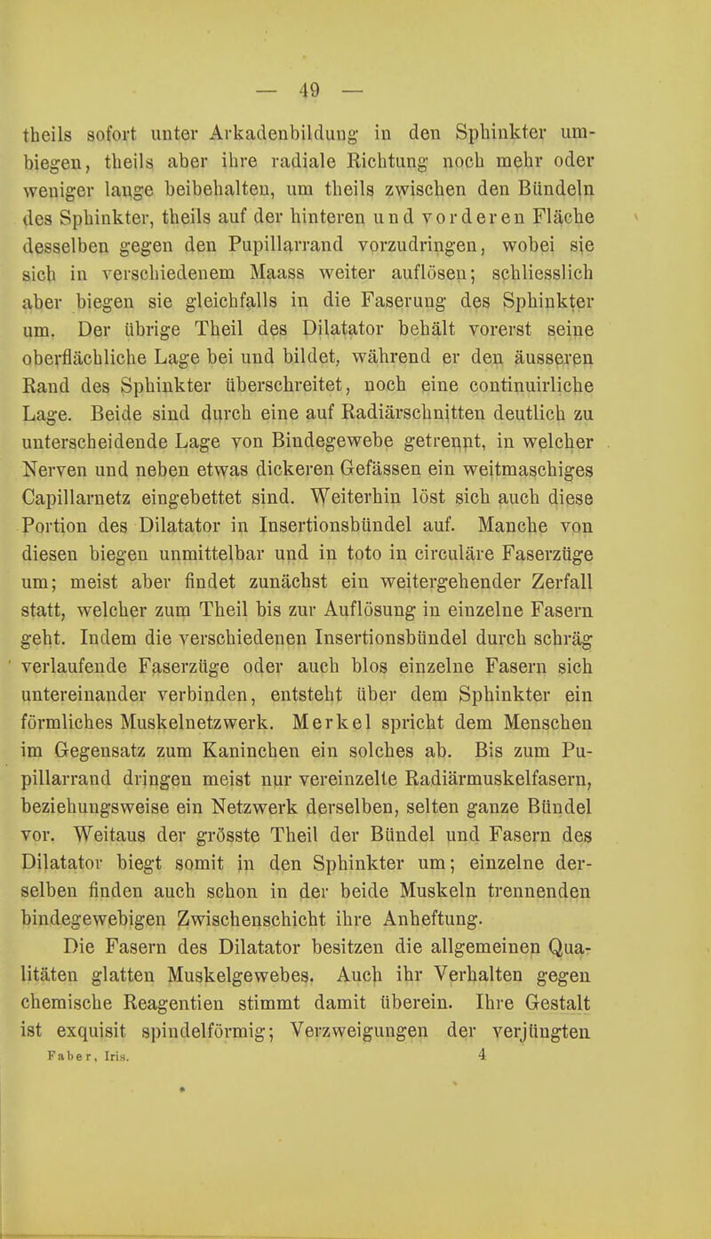 theils sofort unter Arkadenbilduug in den Sphinkter um- biegen, theils aber ihre radiale Richtung' noch mehr oder weniger lauge beibehalten, um theils zwischen den Bündeln des Sphinkter, theils auf der hinteren und vorderen Fläche desselben gegen den Pupillarrand vorzudringen, wobei sie sich in verschiedenem Maass weiter auflösen; schliesslich aber biegen sie gleichfalls in die Faserung des Sphinkter um. Der übrige Theil des Dilatator behält vorerst seine oberflächliche Lage bei und bildet, während er den äusseren Rand des Sphinkter überschreitet, noch eine continuirliche Lage. Beide sind durch eine auf Radiärschnitten deutlich zu unterscheidende Lage von Bindegewebe getrennt, in welcher Nerven und neben etwas dickeren Gefässen ein weitmaschiges Capillarnetz eingebettet sind. Weiterhin löst sich auch diese Portion des Dilatator in Insertionsbündel auf. Manche von diesen biegen unmittelbar und in toto in circuläre Faserzüge um; meist aber findet zunächst ein weitergehender Zerfall statt, welcher zum Theil bis zur Auflösung in einzelne Fasern geht. Indem die verschiedenen Insertionsbündel durch schräg verlaufende Faserzüge oder auch blos einzelne Fasern sich untereinander verbinden, entsteht über dem Sphinkter ein förmliches Muskelnetzwerk. Merkel spricht dem Menschen im Gegensatz zum Kaninchen ein solches ab. Bis zum Pu- pillarrand dringen meist nur vereinzelte Radiärmuskelfasern, beziehuugsweise ein Netzwerk derselben, selten ganze Bündel vor. Weitaus der grösste Theil der Bündel und Fasern des Dilatator biegt somit in den Sphinkter um; einzelne der- selben finden auch schon in der beide Muskeln trennenden bindegewebigen Zwischenschicht ihre Anheftung. Die Fasern des Dilatator besitzen die allgemeinen Qua- litäten glatten Muskelgewebes. Auch ihr Verhalten gegen chemische Reagentien stimmt damit überein. Ihre Gestalt ist exquisit spindelförmig; Verzweigungen der verjüngten Faber, Iris. 4