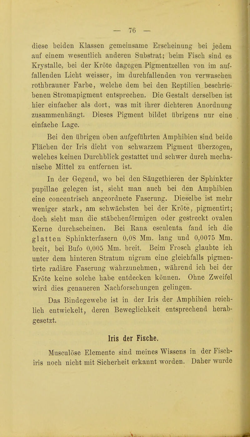 — 70 — diese beiden Klassen gemeinsame Erscheinung bei jedem auf einem wesentlich anderen Substrat; beim Fisch sind es Krystalle, bei der Kröte dagegen Pigmentzellen von im auf- fallenden Licht weisser, im durchfallenden von verwaschen rothbrauner Farbe, welche dem bei den Reptilien beschrie- benen Stromapigment entsprechen. Die Gestalt derselben ist hier einfacher als dort, was mit ihrer dichteren Anordnung zusammenhängt. Dieses Pigment bildet übrigens nur eine einfache Lage. Bei den übrigen oben aufgeführten Amphibien sind beide Flächen der Iris dicht von schwarzem Pigment überzogen, welches keinen Durchblick gestattet und schwer durch mecha- nische Mittel zu entfernen ist. In der Gegend, wo bei den Säugethieren der Sphinkter pupillae gelegen ist, sieht man auch bei den Amphibien eine concentrisch angeordnete Faserung. Dieselbe ist mehr weniger stark, am schwächsten bei der Kröte, pigmentirt; doch sieht man die stäbchenförmigen oder gestreckt ovalen Kerne durchscheinen. Bei Rana esculenta fand ich die glatten Sphinkterfasern 0,08 Mm. lang und 0,0075 Mm. breit, bei Bufo 0,005 Mm. breit. Beim Frosch glaubte ich unter dem hinteren Stratum nigrum eine gleichfalls pigmen- tirte radiäre Faserung wahrzunehmen, während ich bei der Kröte keine solche habe entdecken können. Ohne Zweifel wird dies genaueren Nachforschungen gelingen. Das Bindegewebe ist in der Iris der Amphibien reich- lich entwickelt, deren Beweglichkeit entsprechend herab- gesetzt. Iris der Fische. Musculöse Elemente sind meines Wissens in der Fisch- iris noch nicht mit Sicherheit erkannt worden. Daher wurde