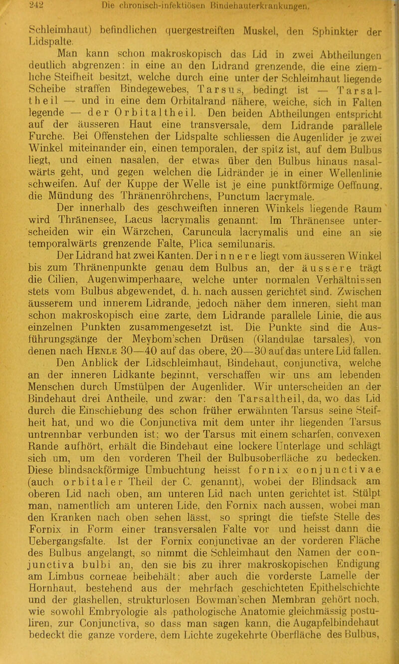 Schleimhaut) befindlichen quergestreiften Muskel, den Sphinkter der Lidspalte. Man kann schon makroskopisch das Lid in zwei Abtheilungcu deutlich abgrenzen: in eine an den Lidrand grenzende, die eine ziem- liche Steifheit besitzt, welche durch eine unter der Schleimhaut liegende Scheibe straffen Bindegewebes, Tarsus, bedingt ist — Tarsal- theil — und in eine dem Orbitalrand nähere, weiche, sich in Falten legende — der Orbitaltheil. Den beiden Abtheilungen entspricht auf der äusseren Haut eine transversale, dem Lidrande parallele Furche. Bei Offenstehen der Lidspalte schliessen die Augenlider je zwei Winkel miteinander ein, einen temporalen, der spilz ist, auf dem Bulbus liegt, und einen nasalen, der etwas über den Bulbus hinaus nasal- wärts geht, und gegen welchen die Lidränder je in einer Wellenlinie schweifen. Auf der Kuppe der Welle ist je eine punktförmige Oeffnung. die Mündung des Thränenröhrchens, Punctum lacrymale. Der innerhalb des geschweiften inneren Winkels liegende Raum wird Thränensee, Lacus lacrymalis genannt. Im Thränensee unter- scheiden wir ein Wärzchen, Caruncula lacrymalis und eine an sie temporalwärts grenzende Falte, Plica semilunaris. Der Lidrand hat zwei Kanten. Der innere liegt vom äusseren Winkel bis zum Thränenpunkte genau dem Bulbus an, der äussere trägt die Cilien, Augenwimperhaare, welche unter normalen Verhältnissen stets vom Bulbus abgewendet, d. h. nach aussen gerichtet sind. Zwischen äusserem und innerem Lidrande, jedoch näher dem inneren, sieht man schon makroskopisch eine zarte, dem Lidrande parallele Linie, die aus einzelnen Punkten zusammengesetzt ist. Die Punkte sind die Aus- führungsgänge der Meybom'schen Drüsen (Glandulae tarsales). von denen nach Henle 30—40 auf das obere, 20—30 auf das untere Lid fallen. Den Anblick der Lidschleimhaut, Bindehaut, conjunctiva, welche an der inneren Lidkante beginnt, verschaffen wir uns am lebenden Menschen durch Umstülpen der Augenlider. Wir unterscheiden an der Bindehaut drei Antheile, und zwar: den Tarsaltheil, da, wo das Lid durch die Einschiebung des schon früher erwähnten Tarsus seine Steif- heit hat, und wo die Conjunctiva mit dem unter ihr liegenden Tarsus untrennbar verbunden ist; wo der Tarsus mit einem scharfen, convexen Rande aufhört, erhält die Bindebaut eine lockere Unterlage und schlägt sich um, um den vorderen Theil der Bulbusoberfläche zu bedecken. Diese blindsackförmige Umbuchtung heisst fornix conjunctivae (auch orbitaler Theil der C. genannt), wobei der Blindsack am oberen Lid nach oben, am unteren Lid nach unten gerichtet ist. Stülpt man, namentlich am unteren Lide, den Fornix nach aussen, wobei man den Kranken nach oben sehen lässt, so springt die tiefste Stelle des Fornix in Form einer transversalen Falte vor und heisst dann die Uebergangsfalte. Ist der Fornix conjunctivae an der vorderen Fläche des Bulbus angelangt, so nimmt die Schleimhaut den Namen der con- junctiva bulbi an, den sie bis zu ihrer makroskopischen Endigung am Limbus corneae beibehält: aber auch die vorderste Lamelle der Hornhaut, bestehend aus der mehrfach geschichteten Epithelschichte und der glashellen, .strukturlosen Bowman sehen Membran gehört noch, wie sowohl Embryologie als pathologische Anatomie gleichmässig postu- liren, zur Conjunctiva, so dass man sagen kann, die Augapfelbindehaut bedeckt die ganze vordere, dem Lichte zugekehrte Oberlläche des Bulbus,