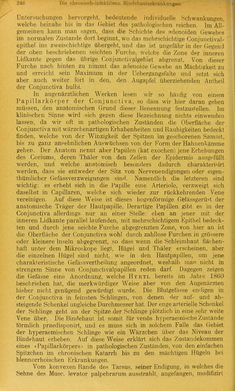 Untersuchungen hervorgeht, bedeutende individuelle Schwankungen, welche beinahe bis in das Gebiet des pathologischen reichen. Im All- gemeinen kann man sagen, dass die Schichte des adenoiden (iewebfs im normalen Zustande dort beginnt, wo das mehrschichtige Gonjunctival- epithel ins zweischichtige übergeht, und das ist ungefähr in der (Jegend der oben beschriebenen seichten Furche, weiche die Zone der inneren Lidkante gegen das übrige Conjunctivalgebiet abgrenzt. Von dieser Furche nach hinten zu nimmt das adenoide Gewebe an Mächtigkeit zu und erreicht sein Maximum in der Uebergangsfalte und setzt sich aber auch weiter fort in den, den Augapfel überziehenden Antheil der Conjunctiva bulbi. In augenärztlichen Werken lesen wir so häufig von einem Papillarkörper der Conjunctiva, so dass wir hier daran gehen müssen, den anatomischen Grund dieser Benennung festzustellen. Im klinischen Sinne wird sich gegen diese Bezeichnung nichts einwenden lassen, da wir oft in pathologischen Zuständen die Oberfläche der Conjunctiva mit wärzchenartigen Erhabenheiten und Rauhigkeiten bedeckt finden, welche von der Winzigkeit der Spitzen im geschorenen Sammt, bis zu ganz ansehnhchen Auswüchsen von der Form der Hahnenkämme gehen. Der Anatom nennt aber Papillen (kat exochen) jene Erhebungen des Coriums, deren Thäler von den Zellen der Epidermis ausgefüllt werden, und welche anatomisch besonders dadurch charakterisirt werden, dass sie entweder der Sitz von Nervenendigungen oder eigen- thümlicher Gefässverzweigungen sind. Namentlich die letzteren sind wichtig: es erhebt sich in die Papille eme Arteriole, verzweigt sich daselbst in Capillaren, welche sich wieder zur rückkehrenden Vene vereinigen. Auf diese Weise ist dieses bogenförmige Gfefässgerü«t der anatomische Träger der Hautpapille. Derartige Papillen gibt es in der Conjunctiva allerdmgs nur an einer Stelle: eben an jener mit der inneren Lidkante parallel laufenden, mit mehrschichtigem Epithel bedeck- ten und durch jene seichte Furche abgegrenzten Zone, von hier an ist die Oberfläche der Conjunctiva wohl durch zahllose Furchen in grössere oder kleinere Inseln abgegrenzt, so dass wenn die Schleimhaut flächen- haft unter dem Mikroskope liegt, Hügel und Thäler erscheinen, aber die einzelnen Hügel sind nicht, wie in den Hautpapillen, um jene charakteristische Gefässvertheilung angeordnet, weshalb man nicht in strengem Sinne von Conjunctivalpapillen reden darf. Dagegen zeigen die Gefässe eine Anordnung, welche Hyrtl bereits im Jahie 1860 beschrieben hat, die merkwürdiger Weise aber von den Augenärzten bisher nicht genügend gewürdigt wurde. Die Blutgefässe endigen in der Conjunctiva in feinsten Schlingen, von denen der auf- und ab- steigende Schenkel ungleiche Durchmesser hat. Der enge arterielle Schenkel der Schlinge geht an der Spitze der Schlinge plötzlich in eine sein-weite Vene über. Die Bindehaut ist somit für venös hyperaetnische Zustände förmlich praedisponirt, und es muss sich in solchem Falle das Gebiet der hyperaemischen Schlinge wie ein Wärzchen über das Niveau der Bindehaut erheben. Auf diese Weise erklärt sich das Zustandekommen eines «Papillarkörpers» in pathologischen Zuständen, von den einfachen Spitzchen im chronischen Katarrh bis zu den mächtigen Hügeln bei blennorrhoischen Erkrankungen. Vom konvexen Rande des Tarsus, seiner Endigung, in welches die Sehne des Muse, levator palpebrarum ausstrahlt, angefangen, modifizirt