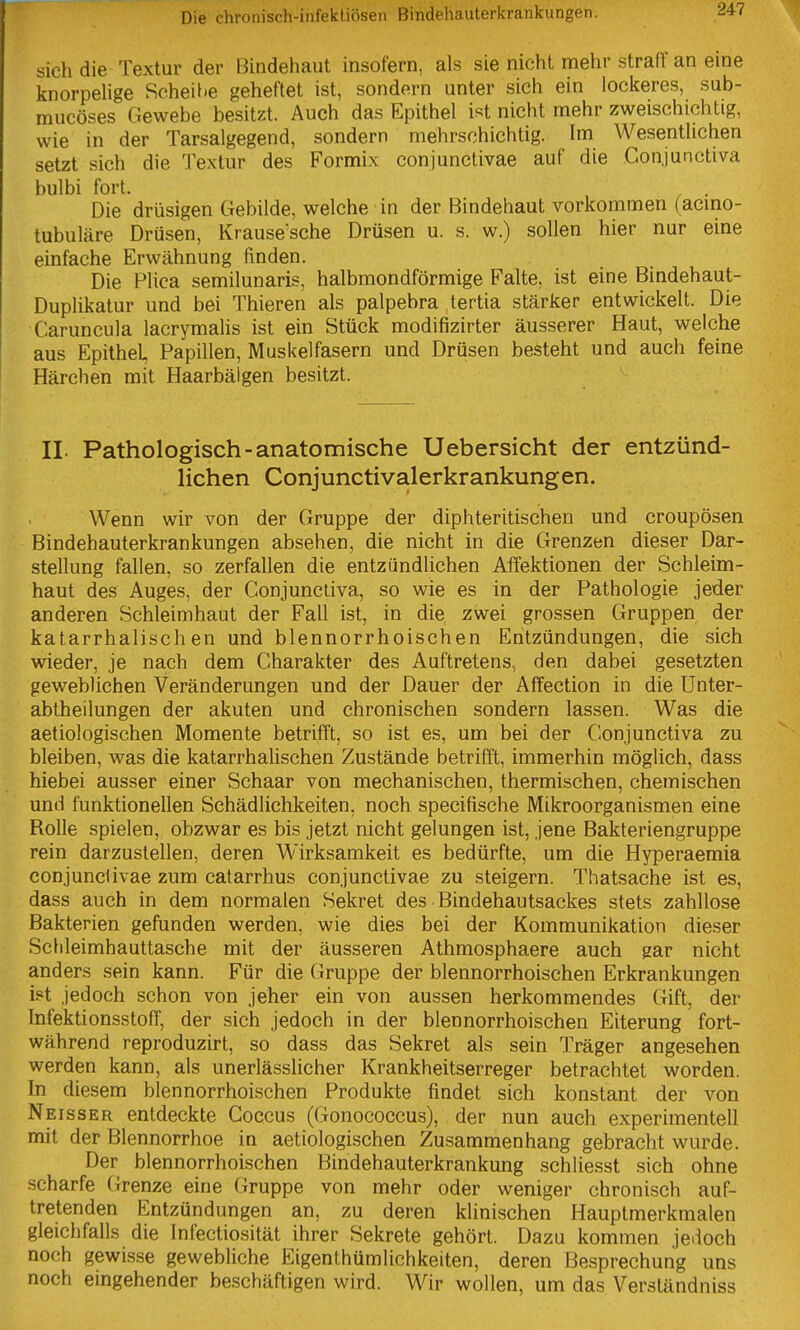 sich die Textur der Bindehaut insofern, als sie nicht mehr straff an eine knorpeUge Scheibe geheftet ist, sondern unter sich ein lockeres, sub- mucöses Gewebe besitzt. Auch das Epithel ist nicht mehr zweischichtig, wie in der Tarsalgegend, sondern mehrschichtig. Im Wesentlichen setzt sich die Textur des Formix conjunctivae auf die Conjunctiva bulbi fort. Die drüsigen Gebilde, welche in der Bindehaut vorkommen (acino- tubuläre Drüsen, Krause'sche Drüsen u. s. w.) sollen hier nur eine einfache Erwähnung finden. Die Plica semilunaris, halbmondförmige Falte, ist eine Bindehaut- Duplikatur und bei Thieren als palpebra tertia stärker entwickelt. Die Caruncula lacrymalis ist ein Stück modifizirter äusserer Haut, welche aus Epithel, Papillen, Muskelfasern und Drüsen besteht und auch feine Härchen mit Haarbälgen besitzt. IL Pathologisch-anatomische Uebersicht der entzünd- lichen Conjunctivalerkrankungen. Wenn wir von der Gruppe der diphteritischen und croupösen Bindehauterkrankungen absehen, die nicht in die Grenzen dieser Dar- stellung fallen, so zerfallen die entzündlichen Affektionen der Schleim- haut des Auges, der Conjunctiva, so wie es in der Pathologie jeder anderen Schleimhaut der Fall ist, in die zwei grossen Gruppen der katarrhalischen und blennorrhoischen Entzündungen, die sich wieder, je nach dem Charakter des Auftretens, den dabei gesetzten geweblichen Veränderungen und der Dauer der Affection in die Unter- abtheilungen der akuten und chronischen sondern lassen. Was die aetiologischen Momente betrifft, so ist es, um bei der Conjunctiva zu bleiben, was die katarrhahschen Zustände betrifft, immerhin möglich, dass hiebei ausser einer Schaar von mechanischen, thermischen, chemischen und funktionellen Schädlichkeiten, noch specifische Mikroorganismen eine Rolle spielen, obzwar es bis jetzt nicht gelungen ist, jene Bakteriengruppe rein darzustellen, deren Wirksamkeit es bedürfte, um die Hyperaemia conjunctivae zum catarrhus conjunctivae zu steigern. Thatsache ist es, dass auch in dem normalen Sekret des Bindehautsackes stets zahllose Bakterien gefunden werden, wie dies bei der Kommunikation dieser Schleimhauttasche mit der äusseren Athmosphaere auch gar nicht anders sein kann. Für die Gruppe der blennorrhoischen Erkrankungen ist jedoch schon von jeher ein von aussen herkommendes Gift, der Infektionsstoff, der sich jedoch in der blennorrhoischen Eiterung fort- während reproduzirt, so dass das Sekret als sein Träger angesehen werden kann, als unerlässlicher Krankheitserreger betrachtet worden. In diesem blennorrhoischen Produkte findet sich konstant der von Neisser entdeckte Goccus (Gonococcus), der nun auch experimentell mit der Blennorrhoe in aetiologischen Zusammenhang gebracht wurde. Der blennorrhoischen Bindehauterkrankung schliesst sich ohne scharfe Grenze eine Gruppe von mehr oder weniger chronisch auf- tretenden Entzündungen an, zu deren klinischen Hauptmerkmalen gleichfalls die Infectiosität ihrer Sekrete gehört. Dazu kommen jedoch noch gewisse gewebliche Eigenlhümlichkeiten, deren Besprechung uns noch eingehender beschäftigen wird. Wir wollen, um das Verständniss
