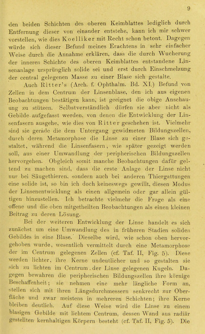 den beiden Schichten des oberen Keimblattes lediglich durch Entfernung dieser von einander entstehe, kann ich mir schwer vorstellen, wie dies Koelliker mit Recht schon betont. Dagegen würde sich dieser Befund meines Erachtens in sehr einfacher Weise durch die Annahme erklären, dass die durch Wucherung der inneren Schichte des oberen Keimblattes entstandene Lin- senanlage ursprünglich solide sei und erst durch Einschmelzung der central gelegenen Masse zu einer Blase sich gestalte. Auch Ritter's (Arch. f. Ophthalm. Bd. XI.) Befund von Zellen in dem Centrum der Linsenblase, den ich aus eigenen Beobachtungen bestätigen kann, ist geeignet die obige Anschau- ung- zu stützen. Selbstverständlich dürfen sie aber nicht als Gebilde-aufgefasst werden, von denen die Entwicklung der Lin- senfasern ausgehe, wie dies von Ritter geschehen ist. Vielmehr sind sie gerade die dem Untergang gewidmeten Bildungszellen, durch deren Metamorphose die Linse zu einer Blase sich ge- staltet, während die Linsenfasern, wie später gezeigt werden soll, aus einer Umwandlung der peripherischen Bildungszellen hervorgehen. Obgleich somit manche Beobachtungen dafür gel- tend zu machen sind, dass die erste Anlage der Linse nicht nur bei Säugethieren, sondern auch bei anderen Thiergattungen eine solide ist, so bin ich doch keineswegs gewillt, diesen Modus der Linsenentwicklung als einen allgemein oder gar allein gül- tigen hinzustellen. Ich betrachte vielmehr die Frage als eine offene und die oben mitgetheilten Beobachtungen als einen kleinen Beitrag zu deren Lösung. Bei der weiteren Entwicklung der Linse handelt es sich zunächst um eine Umwandlung des in früheren Stadien soliden Gebildes in eine Blase. Dieselbe wird, wie schon oben hervor- gehoben wurde, wesentlich vermittelt durch eine Metamorphose der im Centrum gelegenen Zellen (cf. Taf. II, Fig. 5). Diese werden lichter, ihre Kerne undeutlicher und so gestalten sie sich 7.u lichten im Centrum . der Linse gelegenen Kugeln. Da- gegen bewahren die peripherischen Bildungszellen ihre körnige Beschaffenheit; sie nehmen eine mehr längliche Form an, stellen sich mit ihren Längsdurchmessern senkrecht zur Ober- fläche und zwar meistens in mehreren Schichten; ihre Kerne bleiben deutlich. Auf diese Weise wird die Linse zu einem blasigen Gebilde mit lichtem Centrum, dessen Wand aus radiär gestellten kernhaltigen Körpern besteht (cf. Taf. II, Fig. 5). Die