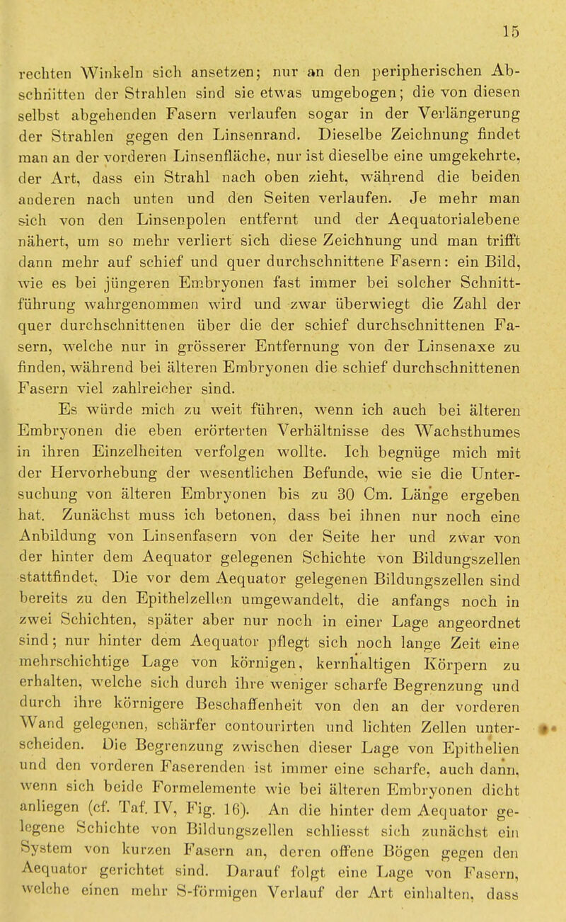 rechten Winkeln sich ansetzen; nur an den peripherischen Ab- schnitten der Strahlen sind sie etwas umgebogen; die von diesen selbst abgehenden Fasern verlaufen sogar in der Verlängerung der Strahlen gegen den Linsenrand. Dieselbe Zeichnung findet man an der vorderen Linsenfläche, nur ist dieselbe eine umgekehrte, der Art, dass ein Strahl nach oben zieht, während die beiden anderen nach unten und den Seiten verlaufen. Je mehr man s-ich von den Linsenpolen entfernt und der Aequatorialebene nähert, um so mehr verliert sich diese Zeichnung und man trifft dann mehr auf schief und quer durchschnittene Fasern: ein Bild, wie es bei jüngeren Embryonen fast immer bei solcher Schnitt- führung wahrgenommen wird und zwar überwiegt die Zahl der quer durchschnittenen über die der schief durchschnittenen Fa- sern, welche nur in grösserer Entfernung von der Linsenaxe zu finden, während bei älteren Embryonen die schief durchschnittenen Fasern viel zahlreicher sind. Es würde mich zu weit führen, wenn ich auch bei älteren Embryonen die eben erörterten Verhältnisse des Wachsthumes in ihren Einzelheiten verfolgen wollte. Ich begnüge mich mit der Hervorhebung der wesentlichen Befunde, wie sie die Unter- suchung von älteren Embryonen bis zu 30 Cm. Länge ergeben hat. Zunächst muss ich betonen, dass bei ihnen nur noch eine Anbildung von Linsenfasern von der Seite her und zwar von der hinter dem Aequator gelegenen Schichte von Bildungszellen stattfindet. Die vor dem Aequator gelegenen Bildungszellen sind bereits zu den Epithelzellen umgewandelt, die anfangs noch in zwei Schichten, später aber nur noch in einer Lage angeordnet sind; nur hinter dem Aequator pflegt sich noch lange Zeit eine mehrschichtige Lage von körnigen, kernhaltigen Körpern zu erhalten, welche sich durch ihre weniger scharfe Begrenzung und durch ihre körnigere Beschaffenheit von den an der vorderen Wand gelegenen, schärfer contourirten und lichten Zellen unter- scheiden. Die Begrenzung zwischen dieser Lage von Epithelien und den vorderen Faserenden ist immereine scharfe, auch darin, wenn sich beide Formelemente wie bei älteren Embryonen dicht anliegen (cf. Taf. IV, Fig. 16). An die hinter dem Aequator ge- legene Schichte von Bildungszellen schliesst sich zunächst ein System von kurzen Fasern an, deren offene Bögen gegen den Aequator gerichtet sind. Darauf folgt eine Lage von Fasern, welche einen mehr S-förmigen Verlauf der Art einhalten, dass