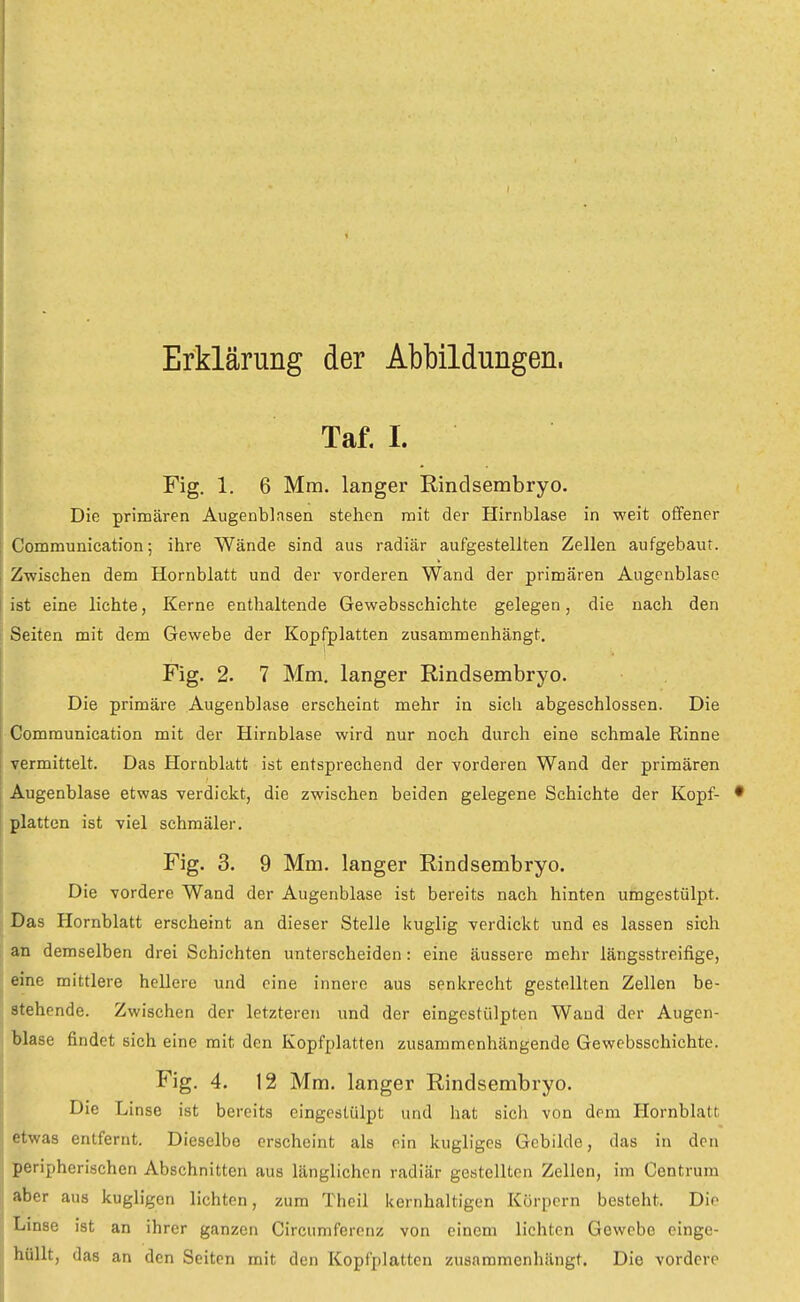Erklärung der Abbildungen. I Taf. I. Fig. 1. 6 Mm. langer Kindsembryo. Die primären Augenbinsen stehen mit der Hirnblase in weit offener Communication; ihre Wände sind aus radiär aufgestellten Zellen aufgebaut. Zwischen dem Hornblatt und der vorderen Wand der primären Augenblase ist eine lichte, Kerne enthaltende Gewebsschichte gelegen, die nach den Seiten mit dem Gewebe der Kopfplatten zusammenhängt. ! Fig. 2. 7 Mm. langer Rindsembryo. Die primäre Augenblase erscheint mehr in sich abgeschlossen. Die Communication mit der Hirnblase wird nur noch durch eine schmale Rinne vermittelt. Das Hornblatt ist entsprechend der vorderen Wand der primären Augenblase etwas verdickt, die zwischen beiden gelegene Schichte der Kopf- • platten ist viel schmäler. Fig. 3. 9 Mm. langer Rindsembryo. Die vordere Wand der Augenblase ist bereits nach hinten umgestülpt. Das Hornblatt erscheint an dieser Stelle kuglig verdickt und es lassen sich an demselben drei Schichten unterscheiden: eine äussere mehr längsstreifige, eine mittlere hellere und eine innere aus senkrecht gestellten Zellen be- stehende. Zwischen der letzteren und der eingestülpten Wand der Augen- blase findet sich eine mit den Kopfplatten zusammenhängende Gewebsschichte. Fig. 4. 12 Mm. langer Rindsembryo. Die Linse ist bereits eingestülpt und hat sich von dem Hornblatt, etwas entfernt. Dieselbe erscheint als ein kugliges Gebilde, das in den peripherischen Abschnitten aus länglichen radiär gestellten Zellen, im Contrum aber aus kugligen lichten, zum Thcil kernhaltigen Korpern besteht. Die Linse ist an ihrer ganzen Circumferenz von einem lichten Gewebe einge- hüllt, das an den Seiten mit den Kopfplatten zusammenhängt. Die vordere
