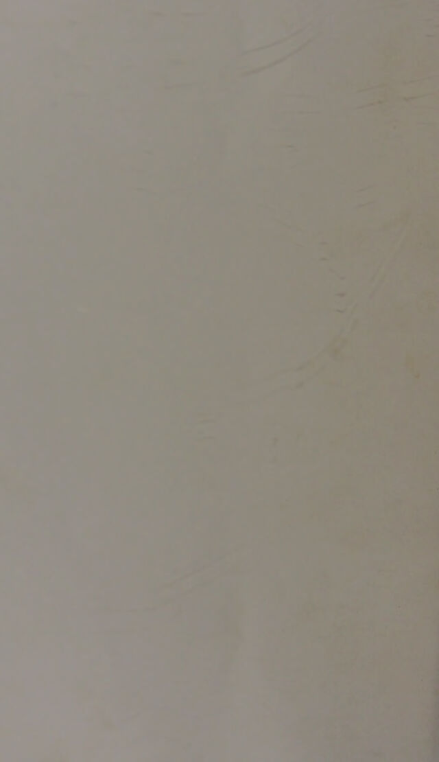 digitised image 2
