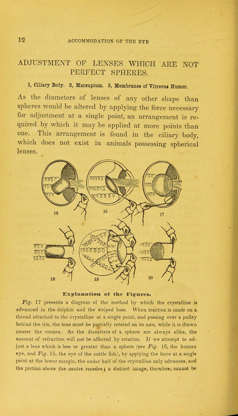 ADJUSTMENT OF LENSES WHICH ARE NOT PERFECT SPHERES. 1, Ciliary Body. 2, Marsupium. 3, Membranes of Vitreou* Humor. As the diameters of lenses of any other shape than spheres would be altered by applying the force necessary for adjustment at a single point, an arrangement is re- quired by which it may be applied at more points than one. This arrangement is found in the ciliary body, which does not exist in animals possessing spherical lenses. Explanation of tlie Fig'ures« Fig. 17 presents a diagram of the method by which the crystalline is advanced in the dolphin and the striped bass. When traction is made on a thread attached to the crystalline at a single point, and passing over a pulley behind the iris, the lens must be partially rotated on its axis, while it is drawn nearer the cornea. As the diameters of a sphere are always alike, the amount of refraction will not be affected by rotation. If we attempt to ad- just a lens which is less or greater than a sphere (see Fig. 16, the human eye, and Fig. 15, the eye of the cuttle fish), by applying the force at a single point at the lower margin, the under half of the cryBtalliue only advances, and the portion above the centre recedes) a dieitinct image, therefore, oauuot bo