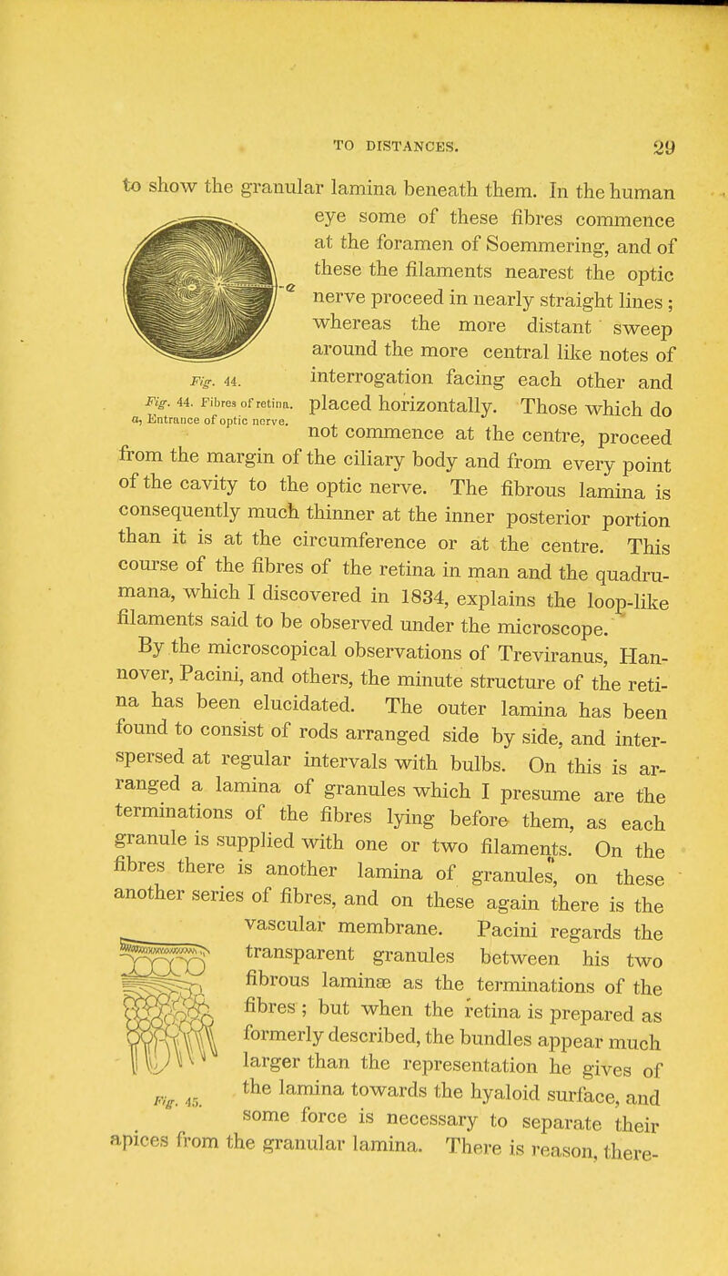 Fig. 44. Fig. 44. Fibres of retina, a, Entrance of optic nerve. to show the granular lamina beneath them. In the human eye some of these fibres commence at the foramen of Soemmering, and of these the filaments nearest the optic nerve proceed in nearly straight lines ; whereas the more distant sweep around the more central like notes of interrogation facing each other and placed horizontally. Those which do not commence at the centre, proceed from the margin of the ciliary body and from every point of the cavity to the optic nerve. The fibrous lamina is consequently much thinner at the inner posterior portion than it is at the circumference or at the centre. This course of the fibres of the retina in man and the quadru- mana, which I discovered in 1834, explains the loop-like filaments said to be observed under the microscope. By the microscopical observations of Treviranus, Han- nover, Pacini, and others, the minute structure of the reti- na has been elucidated. The outer lamina has been found to consist of rods arranged side by side, and inter- spersed at regular intervals with bulbs. On this is ar- ranged a lamina of granules which I presume are the termmations of the fibres lying before them, as each granule is supplied with one or two filaments. On the fibres there is another lamina of granules, on these another series of fibres, and on these again there is the vascular membrane. Pacini regards the transparent granules between his two fibrous lamiuEB as the terminations of the fibres ; but when the retina is prepared as formerly described, the bundles appear much larger than the representation he gives of the lamina towards the hyaloid surface, and some force is necessary to separate their apices from the granular lamina. There is reason there- Fig. 4,