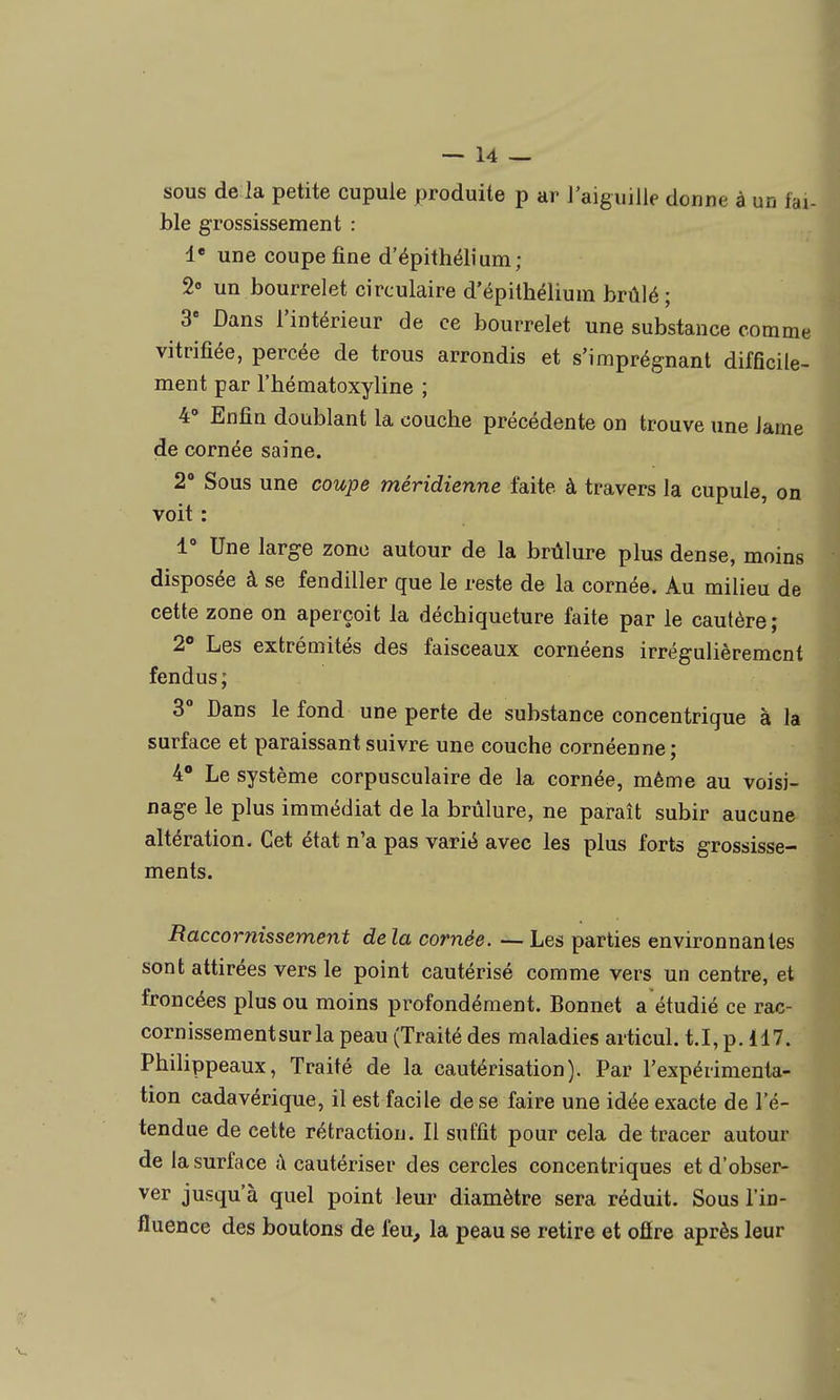 sous de la petite cupule produite p ar J'aiguille donne à un fai- ble grossissement : !• une coupe fine d'épithélîum; 2 un bourrelet circulaire d'épilhéliuin brûlé ; 3« Dans l'intérieur de ce bourrelet une substance comme vitrifiée, percée de trous arrondis et s'imprégnant difficile- ment par l'hématoxyline ; 4» Enfin doublant la coucbe précédente on trouve une lame de cornée saine. 2° Sous une coupe méridienne faite à travers la cupule, on voit : 1° Une large zone autour de la brûlure plus dense, moins disposée à se fendiller que le reste de la cornée. Au milieu de cette zone on aperçoit la déchiqueture faite par le cautère ; 2 Les extrémités des faisceaux cornéens irrégulièrement fendus; 3° Dans le fond une perte de substance concentrique à la surface et paraissant suivre une couche cornéenne; 4' Le système corpusculaire de la cornée, même au voisi- nage le plus immédiat de la brûlure, ne paraît subir aucune altération. Cet état n'a pas varié avec les plus forts grossisse- ments. Raccornissement de la cornée. — Les parties environnantes sont attirées vers le point cautérisé comme vers un centre, et froncées plus ou moins profondément. Bonnet a étudié ce rac- cornissementsur la peau (Traité des maladies articul. t.I, p. 117. Philippeaux, Traité de la cautérisation). Par l'expérimenta- tion cadavérique, il est facile de se faire une idée exacte de l'é- tendue de cette rétraction. Il suffit pour cela de tracer autour de la surface à cautériser des cercles concentriques et d'obser- ver jusqu'à quel point leur diamètre sera réduit. Sous l'in- fluence des boutons de feu, la peau se retire et ofïre après leur