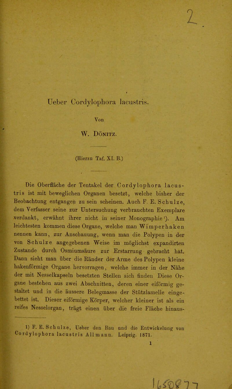 üeber Cordylophora laciistris. Von W. DÖNITZ. (Hierzu Taf, XI. B.) Die Oberfläche der Tentakel der Cordylophora lacus- tris ist mit beweglichen Organen besetzt, welche bisher der Beobachtung entgangen zu sein scheinen. Auch F. E. Schulze, dem Verfasser seine zur Untersuchung verbrauchten Exemplare verdankt, erwähnt ihrer nicht in seiner Monographie'), Am leichtesten kommen diese Organe, welche man Wimperhaken nennen kann, zur Anschauung, wenn man die Polypen in der von Schulze angegebenen Weise im möglichst expandirten Zustande durch Osmiumsäure zur Erstarrung gebracht hat. Dann sieht man über die Ränder der Arme des Polypen kleine hakenförmige Organe hervorragen, welche immer in der Nähe der mit Nesselkapseln besetzten Stellen sich finden Diese Or- gane bestehen aus zwei Abschnitten, deren einer eiförmig ge- staltet und in die äussere Belegmasse der Stützlamelle einge- bettet ist. Dieser eiförmige Körper, welcher kleiner ist als ein reifes Nesselorgan, trägt einen über die freie Fläche hinaus- 1) F.E.Schulze, Ueber den Bau und die Entwickehing von Cordylophora lacustris Allmann. Leipzig. 1871. 1 \Lmi~i