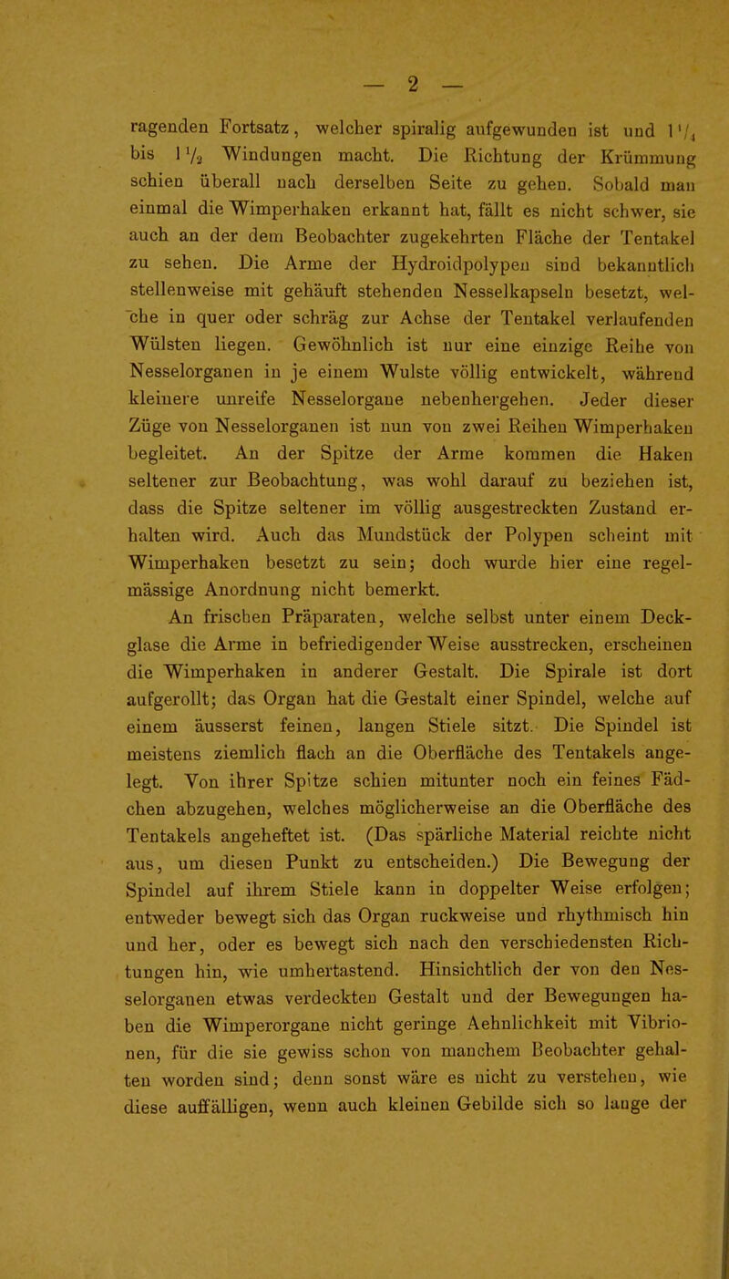 ragenden Fortsatz, welcher spiralig aufgewunden ist und l'/^ bis 172 Windungen macht. Die Richtung der Krümmung schien überall nach derselben Seite zu gehen. Sobald mau einmal die Wimperhakeu erkannt hat, fällt es nicht schwer, sie auch an der dem Beobachter zugekehrten Fläche der Tentakel zu sehen. Die Arme der Hydroidpolypeu sind bekanntlich stellenweise mit gehäuft stehenden Nesselkapseln besetzt, wel- che in quer oder schräg zur Achse der Tentakel verlaufenden Wülsten liegen. Gewöhnlich ist nur eine einzige Reihe von Nesselorganen in je einem Wulste völlig entwickelt, während kleinere unreife Nesselorgane nebenhergehen. Jeder dieser Züge von Nesselorganen ist nun von zwei Reihen Wimperhakeu begleitet. An der Spitze der Arme kommen die Haken seltener zur Beobachtung, was wohl darauf zu beziehen ist, dass die Spitze seltener im völlig ausgestreckten Zustand er- halten wird. Auch das Mundstück der Polypen scheint mit Wimperhaken besetzt zu sein; doch wurde hier eine regel- mässige Anordnung nicht bemerkt. An frischen Präparaten, welche selbst unter einem Deck- glase die Arme in befriedigender Weise ausstrecken, erscheinen die Wimperhaken in anderer Gestalt. Die Spirale ist dort aufgerollt; das Organ hat die Gestalt einer Spindel, welche auf einem äusserst feinen, langen Stiele sitzt. Die Spindel ist meistens ziemlich flach an die Oberfläche des Tentakels ange- legt. Von ihrer Spitze schien mitunter noch ein feines Fäd- chen abzugehen, welches möglicherweise an die Oberfläche des Tentakels angeheftet ist. (Das spärliche Material reichte nicht aus, um diesen Punkt zu entscheiden.) Die Bewegung der Spindel auf ihrem Stiele kann in doppelter Weise erfolgen; entweder bewegt sich das Organ ruckweise und rhythmisch hin und her, oder es bewegt sich nach den verschiedensten Rich- tungen hin, wie umhertastend. Hinsichtlich der von den Nes- selorganen etwas verdeckten Gestalt und der Bewegungen ha- ben die Wimperorgane nicht geringe Aehnlichkeit mit Vibrio- nen, für die sie gewiss schon von manchem Beobachter gehal- ten worden sind; denn sonst wäre es nicht zu verstehen, wie diese auffälligen, wenn auch kleinen Gebilde sich so lauge der