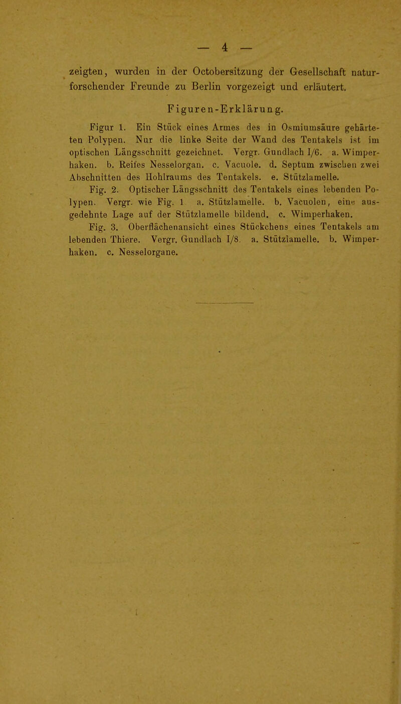 zeigten, wurden in der Octobersitzung der Gesellschaft natur- forsctender Freunde zu Berlin vorgezeigt und erläutert. Figuren-Erklärung. Figur 1. Ein Stück eines Armes des in Osmiumsäure gehärte- ten Polypen. Nur die linke Seite der Wand des Tentakels ist im optischen Längsschnitt gezeichnet. Vergr. Gundlach 1/6. a. Wimper- haken, b. Reifes Nesselorgan, c. Vacuoie. d. Septum zwischen zwei Abschnitten des Ilohlraums des Tentakels, e. Stützlamelie. Fig. 2. Optischer Längsschnitt des Tentakels eines lebenden Po- lypen. Vergr. wie Fig. 1 a. Stützlamelle, b. Vacuolen, eine, aus- gedehnte Lage auf der Stützlamelie bildend, c. Wimperhaken. Fig. 3. Oberflächenansicht eines Stückchens eines Tentakels am lebenden Thiere. Vergr, Gundlach 1/8. a. Stützlamelle, b. Wimper- haken, c. Nesselorgane.