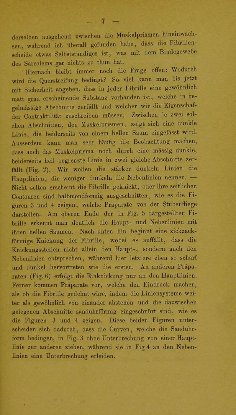 derselben ausgehend zwischen die Muskelprismen hineinwach- sen, während ich überall gefunden habe, dass die Fibrillen- scheide etwas Selbststiindiges ist, was mit dem Bindegewebe des Sarcolems gar nichts zu thun hat. Hiernach bleibt immer noch die Frage offen: Wodurch wird die Querstreifung bedingt? So- viel kann man bis jetzt mit Sicherheit angeben, dass in jeder Fibrille eine gewöhnlich matt grau erscheinende Substanz vorhanden ist, welche in re- gelmässige Abschnitte zerfällt und welcher wir die Rigenschaf- der Contraktilität zuschreiben müssen. Zwischen je zwei sol- chen Abschnitten, den Muskelprismen, zeigt sich eine dunkle Linie, die beiderseits von einem hellen Saum eingefasst wird. Ausserdem kann man sehr häufig die Beobachtung machen, dass auch das Muskelprisma noch durch eine massig dunkle, beiderseits hell begrenzte Linie in zwei gleiche Abschnitte zer- fällt (Fig. '2). Wir wollen die stärker dunkeln Linien die Hauptlinien, die weniger dunkeln die Nebenlinien nennen. — Nicht selten erscheint die Fibrille geknickt, oder ihre seitlichen Contouren sind halbmondförmig ausgeschnitten, wie es die Fi- guren 3 und 4 zeigen, welche Präparate von der Stubenfliege darstellen. Am oberen Ende der in Fig. 5 dargestellten Fi- brille erkennt man deutlich die Haupt- und Nebenlinien mit ihren hellen Säumen. Nach unten hin beginnt eine zickzack- förmige Knickung der Fibrille, wobei e« auffällt, dass die Knickungsstellen nicht allein den Haupt-, sondern auch den Nebenlinien entsprechen, während hier letztere eben so scharf und dunkel hervortreten wie die ersten. An anderen Präpa- raten (Fig. 6) erfolgt die Einknickxmg nur an den Hauptlinien. Ferner kommen Präparate vor, welche den Eindruck machen, als ob die Fibrille gedehnt wäre, indem die Liniensysteme wei- ter als gewöhnlich von einander abstehen und die dazwischen gelegenen Abschnitte sanduhrförmig eingeschnürt sind, wie es die Figuren 3 und 4 zeigen. Diese beiden Figuren unter- scheiden sich dadurch, dass die Curven, welche die Sandulir- form bedingen, in Fig. 3 ohne Unterbrechung von einer Haupt- linie zur anderen ziehen, während sie in Fig 4 an den Neben- linien eine Unterbrechung erleiden.