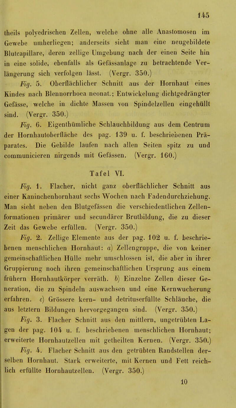 theils polyedrischen Zellen, welche ohne alle Anastomosen im Gewebe umherliegen; anderseits sieht man eine neugebildele Blutcapillare, deren zellige Umgebung nach der einen Seite hin in eine solide, ebenfalls als Gefassanlage zu betrachtende Ver- längerung sich verfolgen lässt. (Vergr. 350.) Fig. 5. Oberflächlicher Schnitt aus der Hornhaut eines Kindes nach Blennorrhoea neonat.; Entwickelung dichtgedrängter Gefässe, welche in dichte Massen von Spindelzellen eingehüllt sind. (Vergr. 350.) Fig. 6. Eigenthümliche Schlauchbildung aus dem Centrum der Hornhautoberfläche des pag. 139 u. f. beschriebenen Prä- parates. Die Gebilde laufen nach allen Seiten spitz zu und communicieren nirgends mit Gefässen. (Vergr. 160.) Tafel VI. Fig. 1. Flacher, nicht ganz oberflächlicher Schnitt aus einer Kaninchenhornhaut sechs Wochen nach Fadendurchziehung. Man sieht neben den Blutgefässen die verschiedentlichen Zellen- formationen primärer und secundärer Brutbildung, die zu dieser Zeit das Gewebe erfüllen. (Vergr. 350.) Fig. 2. Zellige Elemente aus der pag. 102 u. f. beschrie- benen menschlichen Hornhaut: a) Zellengruppe, die von keiner gemeinschaftlichen Hülle mehr umschlossen ist, die aber in ihrer Gruppierung noch ihren gemeinschaftlichen Ursprung aus einem frühern Hornhautkörper verräth. &) Einzelne Zellen dieser Ge- neration, die zu Spindeln auswachsen und eine Kernwucherung erfahren, c) Grössere kern- und detrituserfüllte Schläuche, die aus letztern Bildungen hervorgegangen sind. (Vergr. 350.) Fig. 3. Flacher Schnitt aus den mittlem, ungetrübten La- gen der pag. 104 u. f. beschriebenen menschlichen Hornhaut; erweiterte Hornhaulzellen mit getheilten Kernen. (Vergr. 350.) Fig. 4. Flacher Schnitt aus den getrübten Randstellen der- selben Hornhaut. Stark erweiterte, mit Kernen und Fett reich- lich erfüllte Hornhautzellen. (Vergr. 350.) 10