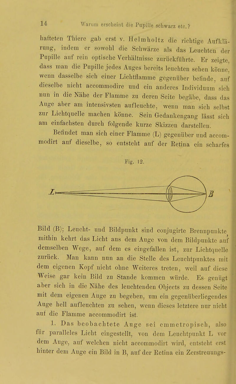hafteten Thiere gab erst v. llelmholtz die richtige Aufklä- rung, indem er sowohl die Schwärze als das Leuchten der Pupille auf rein optische Verhältnisse zurückführte. Er zeigte, dass man die Pupille jedes Auges bereits leuchten sehen könne! wenn dasselbe sich einer Lichtflamme gegenüber befinde, auf dieselbe nicht accommodire und ein anderes Individuum sich nun in die Nähe der Flamme zu deren Seite begäbe, dass das Auge aber am intensivsten aufleuchte, wenn man sich selbst zur Lichtquelle machen könne. Sein Gedankengang lässt sich am einfachsten durch folgende kurze Skizzen darstellen. Befindet man sich einer Flamme (L) gegenüber und accom- modirt auf dieselbe, so entsteht auf der Retina ein scharfes Fig. 12. Bild (B); Leucht- und Bildpunkt sind conjugirte Brennpunkte mithin kehrt das Licht aus dem Auge von dem Bildpunkte auf demselben Wege, auf dem es eingefallen ist, zur Lichtquelle zurück. Man kann nun an die Stelle des Leuchtpuuktes mit dem eigenen Kopf nicht ohne Weiteres treten, weil auf diese Weise gar kein Bild zu Stande kommen würde. Es- genügt aber sich in die Nähe des leuchtenden Objects zu dessen Seite mit dem eigenen Auge zu begeben, um ein gegenüberliegendes Auge hell aufleuchten zu sehen, wenn dieses letztere nur nicht auf die Flamme accommodirt ist. 1. Das beobachtete Auge sei emmetropisch, also für paralleles Licht eingestellt, von dem Leuchtpunkt L vor dem Auge, auf welchen nicht accommodirt wird, entsteht erst hinter dem Auge ein Bild in B, auf der Retina ein Zerstreuungs-