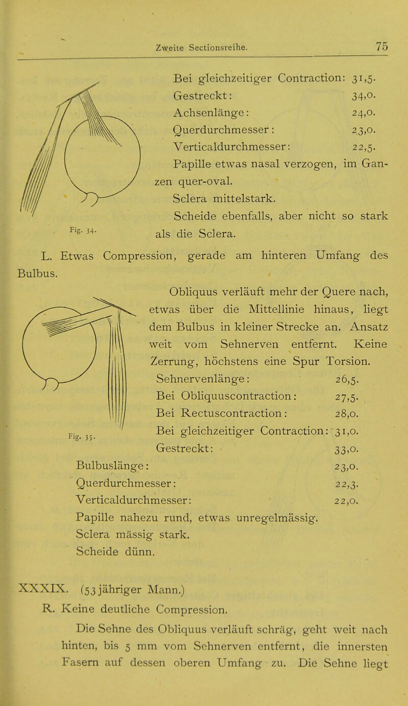 Fig- 54- Bei gleichzeitiger Contraction: 31,5. Gestreckt: 34>o- Achsenlänge: 24,0. Querdurchmesser: 23,0. Verticaldurchmesser: 22,5. Papille etwas nasal verzogen, im Gan- zen quer-oval. Sclera mittelstark. Scheide ebenfalls, aber nicht so stark als die Sclera. L. Etwas Compression, gerade am hinteren Umfang des Bulbus. Obliquus verläuft mehr der Quere nach, etwas über die Mittellinie hinaus, liegt dem Bulbus in kleiner Strecke an. Ansatz weit vom Sehnerven entfernt. Keine Zerrung, höchstens eine Spur Torsion. Sehnervenlänge: 26,5. Bei Obliquuscontraction: 27,5. Bei Rectuscontraction: 28,0. Bei gleichzeitiger Contraction: 31,0. Gestreckt: 33,0. Bulbuslänge: 23,0. Querdurchmesser: 22,3. Verticaldurchmesser: 22,0. Papille nahezu rund, etwas unregelmässig. Sclera mässig stark. Scheide dünn. •'g- 35- XXXIX. (53 jähriger Mann.) R. Keine deutliche Compression. Die Sehne des Obliquus verläuft schräg, g-eht weit nach hinten, bis 5 mm vom Sehnerven entfernt, die innersten Fasern auf dessen oberen Umfang zu. Die Sehne liegt