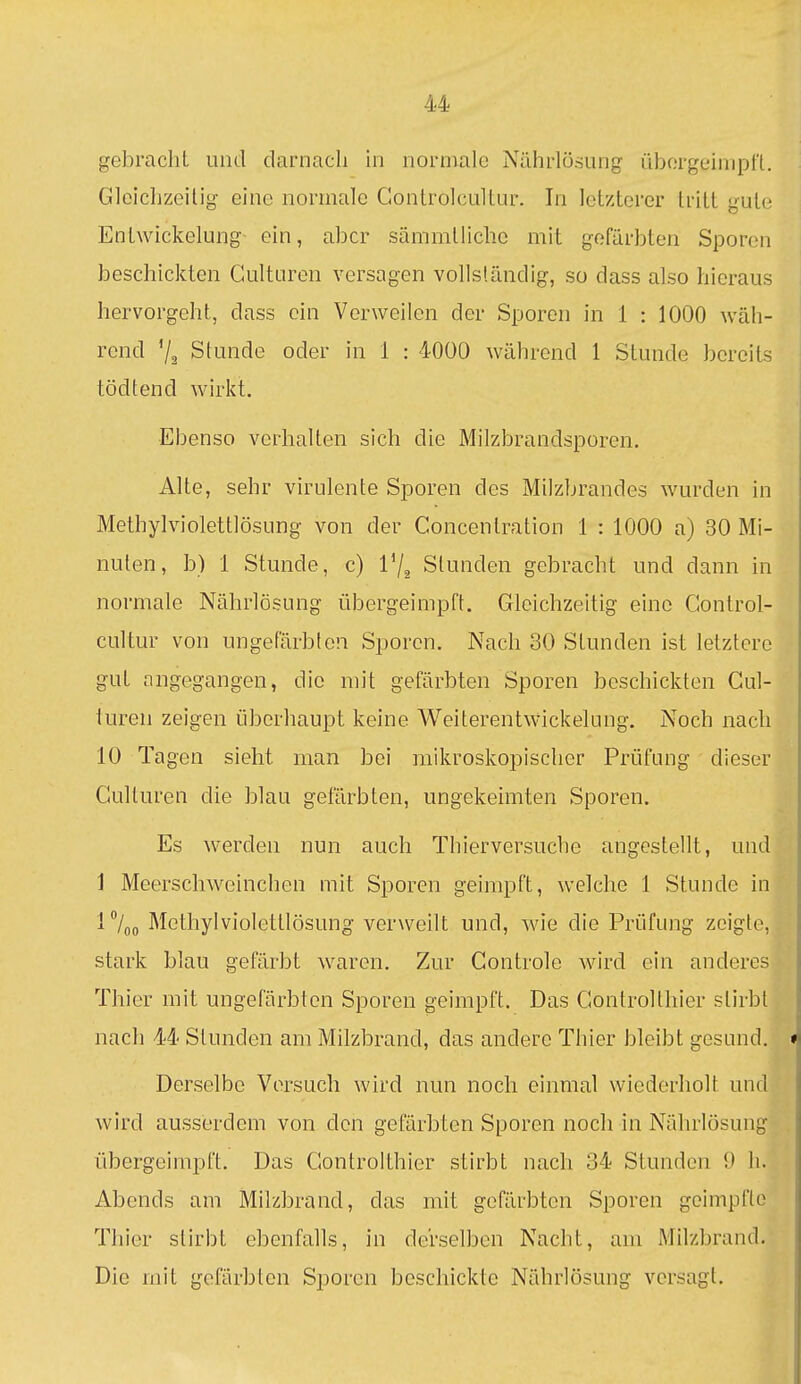 gebracht und darnach in normale Nährlösung übergeimpft. Gleichzeitig eine normale Gontrolcultur. In letzterer tritt gute Entwickelung ein, aber sämmtlichc mit gefärbten Sporen beschickten Culturen versagen vollständig, so dass also hieraus hervorgeht, dass ein Verweilen der Sporen in 1 : 1000 wäh- rend '/ä Stunde oder in 1 : 4000 während 1 Stunde bereits tödtend wirkt. Ebenso verhalten sich die Milzbrandspüren. Alte, sehr virulente Sporen des Milzbrandes wurden in Methylviolettlösung von der Concentration 1 : 1000 a) 30 Mi- nuten, b) 1 Stunde, c) l'/a Stunden gebracht und dann in normale Nährlösung übergeimpft. Gleichzeitig eine Gontrol- cultur von ungefärbten Sporen. Nach 30 Stunden ist letztere gut angegangen, die mit gefärbten Sporen beschickten Cul- turen zeigen überhaupt keine Weiterentwickelung. Noch nach 10 Tagen sieht man bei mikroskopischer Prüfung dieser Culturen die blau gefärbten, ungekeimten Sporen. Es werden nun auch Thierversuche angestellt, und 1 Meerschweinchen mit Sporen geimpft, welche 1 Stunde in l^/oo Methylviolettlösung verweilt und, wie die Prüfung zeigte, stark blau gefärbt waren. Zur Controle wird ein anderes Thier mit ungefärbten Sporen geimpft. Das Gontrolthier stirbt nach 44 Stunden am Milzbrand, das andere Thier bleibt gesund. Derselbe Versuch wird nun noch einmal wiederholt und wird ausserdem von den gefärbten Sporen noch in Nährlösung übergeimpft. Das Controlthier stirbt nach 34 Stunden 9 Ii. Abends am Milzbrand, das mit gefärbten Sporen geimpfte Thier stirbt ebenfalls, in derselben Nacht, am Milzbrand. Die mit gefärbten Sporen beschickte Nährlösung versagt.