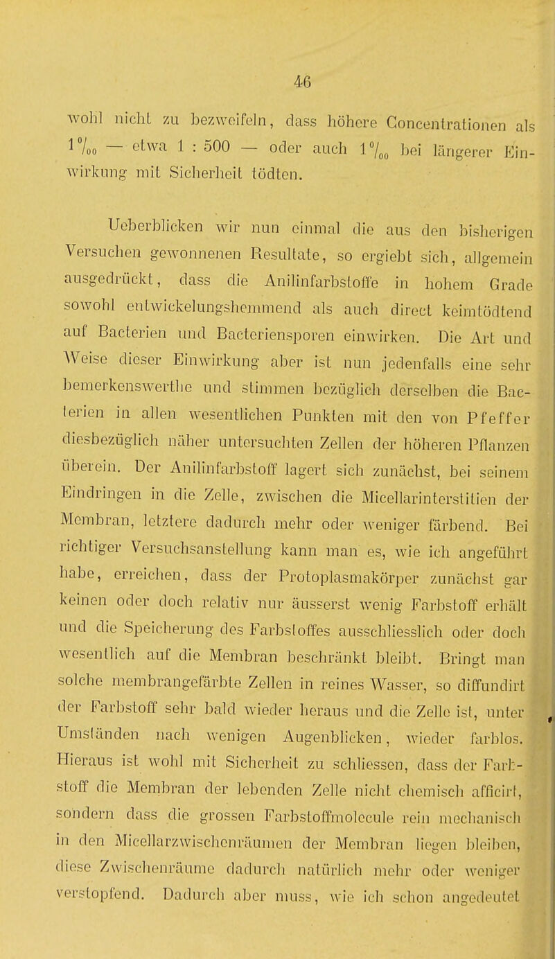 wohl nicht zu bezweifeln, dass höhere Concenlrationen als 1— etwa 1 : 500 — oder auch 17„„ bei längerer Ein- wirkung mit Sicherheit tödten. Uoberblicken wir nun einmal die aus den bisherigen Versuchen gewonnenen Resultate, so ergiebt sich, allgemein ausgedrückt, dass die AnilinfarbstolTe in hohem Grade sowohl entwickelungshemmend als auch diroct keimtödtend auf Bacterien luid Bacteriensporen einwirken. Die Art und Weise dieser Einwirkung aber ist nun jedenfalls eine sehr bemerkenswerthe und stimmen bczijglich derselben die Bac- terien in allen wesentlichen Punkten mit den von Pfeffer diesbezüglich näher untersuchten Zellen der höheren Pflanzen überein. Der Anilinfarbstoff lagert sich zunächst, bei seinem Eindringen in die Zelle, zwischen die Micellarinterstitien der Membran, letztere dadurch mehr oder weniger färbend. Bei richtiger Versuchsanstellung kann man es, wie ich angeführt habe, erreichen, dass der Protoplasmakörper zunächst gar keinen oder doch relativ nur äusserst wenig Farbstoff erhält und die Speicherung des Farbsloffes ausschliesslich oder doch wesentlich auf die Membran beschränkt bleibt. Bringt man solche membrangefärbte Zellen in reines Wasser, so diffundirt der Farbstoff sehr bald wieder heraus und die Zelle ist, unter Umsländen nach wenigen Augenblicken, wieder farblos. Hieraus ist wohl mit Sicherheit zu schliessen, dass der Farl:- stoff die Membran der lebenden Zelle nicht chemisch afficirt, sondern dass die grossen Farbstoffmolocule rein mechanisch in den IVIicellarzwischenräumen der Membran liegen bleiben, diese Zwischenräume dadurch natürlich mehr oder woniger verstopfend. Dadurch aber muss, wie ich schon angedeutet