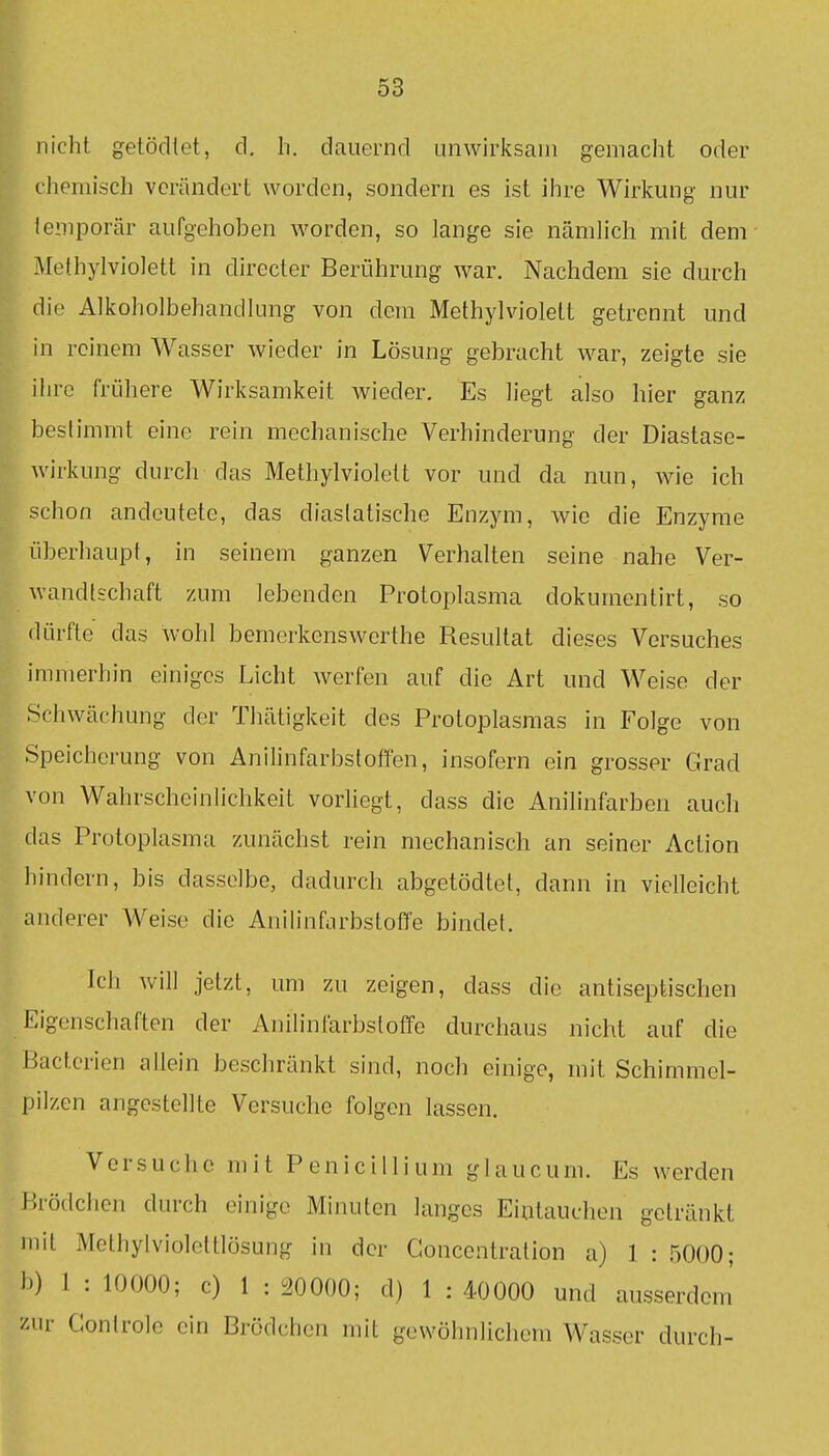 nicht getödtet, d, h. dauernd unwirksam gemacht oder chemisch verändert worden, sondern es ist ihre Wirkung nur iemporär aufgehoben worden, so lange sie nämhch mit dem Methylviolett in directer Berührung war. Nachdem sie durch die Alkoholbehandlung von dem Methylviolett getrennt und in reinem Wasser wieder in Lösung gebracht war, zeigte sie ihre frühere Wirksamkeit wieder. Es liegt also hier ganz bestimmt eine rein mechanische Verhinderung der Diastase- wirkung durch das Methylviolett vor und da nun, wie ich schon andeutete, das diaslatische Enzym, wie die Enzyme überhaupt, in seinem ganzen Verhalten seine nahe Ver- wandtschaft zum lebenden Protoplasma dokumentirt, so dürfte das wohl bemcrkenswerthe Resultat dieses Versuches immerhin einiges Licht werfen auf die Art und Weise der Schwächung der Thätigkeit des Protoplasmas in Folge von Speichcrung von Anilinfarbstoffen, insofern ein grosser Grad von Wahrscheinlichkeit vorliegt, dass die Anilinfarben auch das Protoplasma zunächst rein mechanisch an seiner Aclion hindern, bis dasselbe, dadurch abgetödtet, dann in vielleicht anderer Weise die Anilinfarbstoffe bindet. Ich will jetzt, um zu zeigen, dass die antiseptischen Eigenschaften der Anilinfarbstoffe durchaus nicht auf die Bactcrien allein beschränkt sind, noch einige, mit Schimmel- pilzen angestellte Versuche folgen lassen. Versuche mit Penicillium glaucum. Es werden llrödchen durch einige Minuten langes Eintauchen getränkt mit Melhylvioleltlösung in der Goncentration a) 1 : .5000; b) 1 : 10000; c) 1 : 20000; d) 1 : 40000 und ausserdem zur Gontrole ein Brödchcn mit gewöhnlichem Wasser durch-