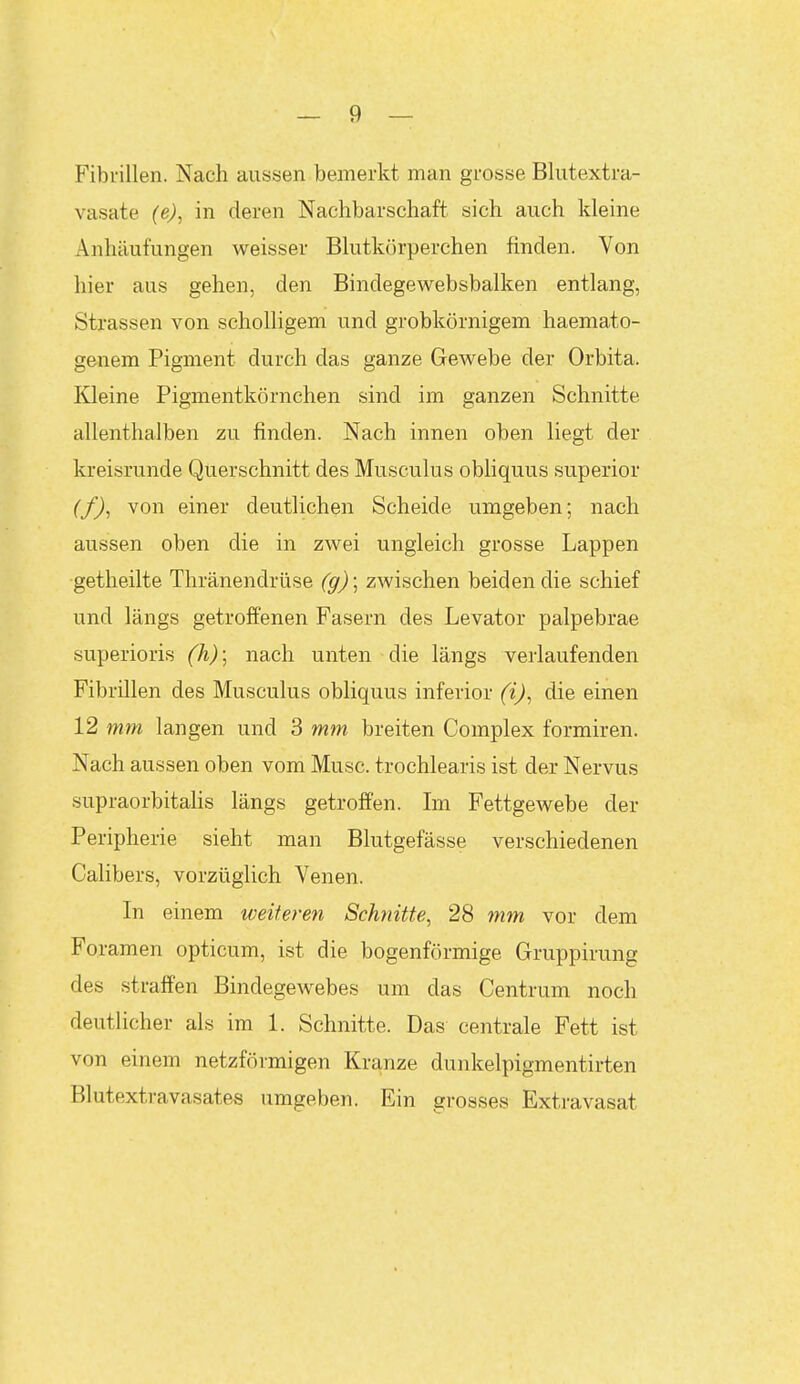 Fibrillen. Nach aussen bemerkt man grosse Blutextra- vasate {e)^ in deren Nachbarschaft sich auch kleine Anhäufungen weisser Blutkörperchen finden. Von hier aus gehen, den Bindegewebsbalken entlang, Strassen von scholligem und grobkörnigem haemato- genem Pigment durch das ganze Gewebe der Orbita. lOeine Pigmentkörnchen sind im ganzen Schnitte allenthalben zu finden. Nach innen oben liegt der kreisrunde Querschnitt des Musculus obliquus superior (f)-> ^0^^ einer deutlichen Scheide umgeben; nach aussen oben die in zwei ungleich grosse Lappen getheilte Thränendrüse (g); zwischen beiden die schief und längs getroffenen Fasern des Levator palpebrae superioris (h)\ nach unten die längs verlaufenden Fibrillen des Musculus obliquus inferior (i)^ die einen 12 mm langen und 3 mm breiten Complex formiren. Nach aussen oben vom Muse, trochlearis ist der Nervus supraorbitahs längs getroffen. Im Fettgewebe der Peripherie sieht man Blutgefässe verschiedenen Calibers, vorzüglich Venen. In einem weiteren Schnitte, 28 mm vor dem Foramen opticum, ist die bogenförmige Gruppirung des straffen Bindegewebes um das Centrum noch deutlicher als im 1. Schnitte. Das centrale Fett ist von einem netzförmigen Kranze dunkelpigmentirten Blutextravasates umgeben. Ein grosses Extravasat