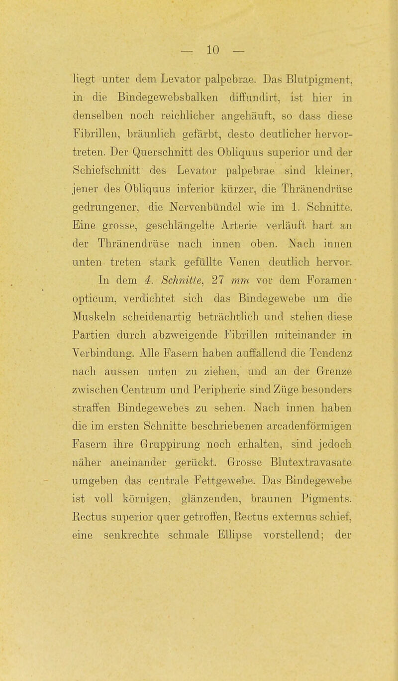 liegt unter dem Levator palpebrae. Das Blutpigment, in die Bindegewebsbalken diffundirt, ist hier in denselben noch reichlicher angehäuft, so dass diese Fibrillen, bräunlich gefärbt, desto deutlicher hervor- treten. Der Querschnitt des Obliquus superior und der Schief schnitt des Levator palpebrae sind kleiner, jener des Obliquus inferior kürzer, die Thränendilise gedrungener, die Nervenbündel wie im 1. Schnitte. Eine grosse, geschlängelte Arterie verläuft hart an der Thränendrüse nach innen oben. Nach innen unten treten stark gefüllte Venen deutlich hervor. In dem 4. Schnitte^ 27 mm. vor dem Foramen- opticum, verdichtet sich das Bindegewebe um die Muskeln scheidenartig beträchtlich und stehen diese Partien durch abzweigende Fibrillen miteinander in Verbindung. Alle Fasern haben auffallend die Tendenz nach aussen unten zu ziehen, und an der Grenze zwischen Centrum und Peripherie sind Züge besonders straffen Bindegewebes zu sehen. Nach innen haben die im ersten Schnitte beschriebenen arcadenförmigen Fasern ihre Gruppirung noch erhalten, sind jedoch näher aneinander gerückt. Grosse Blutextravasate umgeben das centrale I'ettgewebe. Das Bindegewebe ist voll körnigen, glänzenden, braunen Pigments. Eectus superior quer getroffen, Rectus externus schief, eine senkrechte schmale Elhpse vorstellend; der