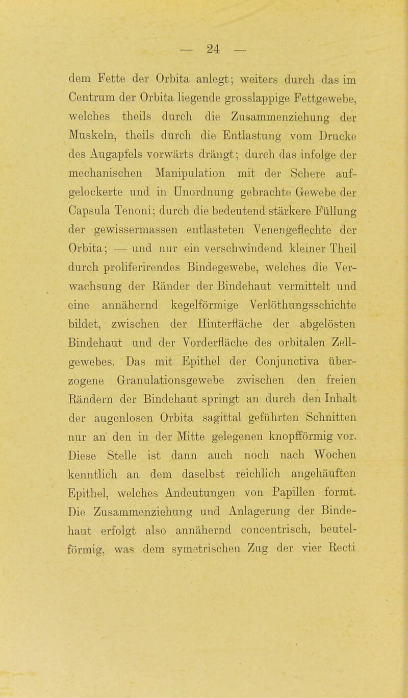 dem Fette der Orbita anlegt; weiters durch das im Centrum der Orbita liegende grosslappige Fettgewebe, welches theils durch die Zusammenziehung der Muskeln, theils durch die Entlastung vom Drucke des Augapfels vorwärts drängt; durch das infolge der mechanischen Manipulation mit der Schere auf- gelockerte und in Unordnung gebrachte Gewebe der Capsula Tenoni; durch die bedeutend stärkere Füllung der gewissermassen entlasteten Venengefiechte der Orbita; — und nur ein verschwindend kleiner Theil durch proliferirendes Bindegewebe, welches die Ver- wachsung der Ränder der Bindehaut vermittelt und eine annähernd kegelförmige Verlöthungsschichte bildet, zwischen der Hinterfläche der abgelösten Bindehaut und der Vorderfläche des orbitalen Zell- gewebes. Das mit Epithel der Conjunctiva über- zogene Granulationsgewebe zwischen den freien Rändern der Bindehaut springt an durch den Inhalt der augenlosen Orbita sagittal geführten Schnitten nur ah den in der Mitte gelegenen knopfförmig vor. Diese Stelle ist dann auch noch nach Wochen kenntlich an dem daselbst reichlich angehäuften Epithel, welches Andeutungen von Papillen formt. Die Zusammenziehung und Anlagerung der Binde- haut erfolgt also annähernd concentrisch, beutei- förmig, was dem symetrischen Zug der vier Recti