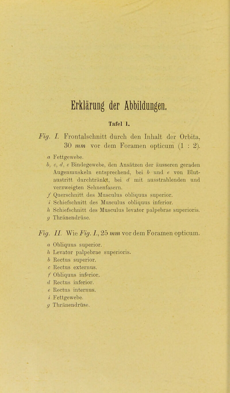 Erklärung der Abbildungen. Tafel 1. Fig. I. Frontalschnitt durch den Inhalt der Orbita. 30 mm vor dem Foramen opticum (1 : 2). a Fettgewebe. b, c, d, e Bindegewebe, den Ansätzen der äusseren geraden Augenmuskeln entsprechend, bei b und e von Blut- austritt durchtränkt, bei d mit ausstrahlenden und verzweigten Sehnenfasern. / Querschnitt des Musculus obliquus superior. / Schiefschnitt des Musculus obliquus inferior. h Schiefschnitt des Musculus levator palpebrae superioris. (/ Thränendrüse. Figi. II. Wie Fig. i., 25 mm vor dem Foramen opticum. a Obliquus superior. h Levator palpebrae superioris. b Rectus superior. c Rectus externus. /■ Obliquus inferior. d Rectus inferior. . e Rectus internus. i Fettgewebe. (/ Thränendrüse.