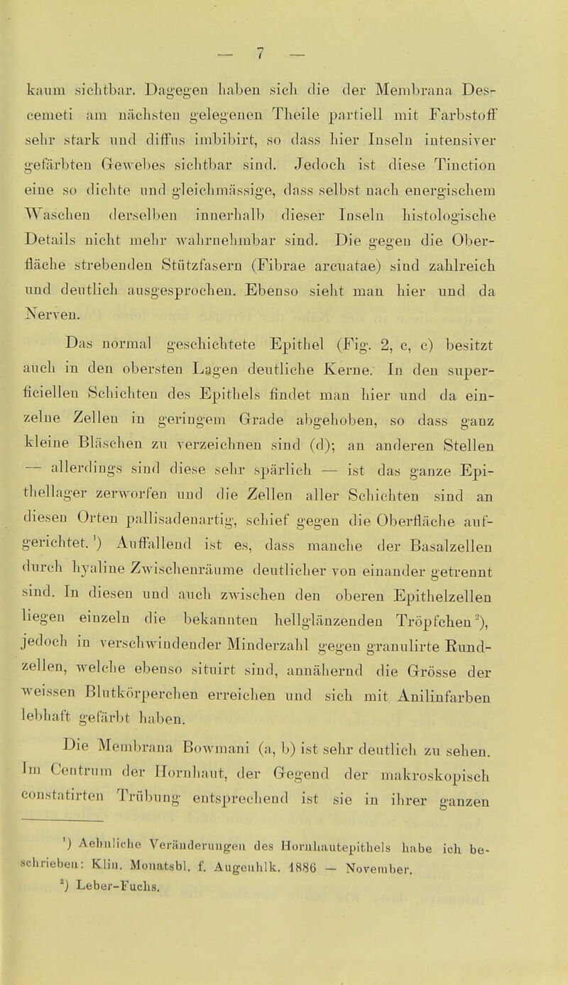 kaum sichtbar. Dag-egen liabeu .sich die der Membrana Des- cemeti am nächsteu gelegenen Theile partiell mit Farbstoff sehr stark und diffus imbibirt, so dass hier Inseln intensiver gefärbten GeAvebes sichtbar sind. Jedoch ist diese Tinction eine so dichte und gleichmässige, dass selbst nach energischem Waschen derselben innerhalb dieser Inseln histologische Details nicht mehr AA^ahrnehmbar sind. Die gegen die Ober- fläche strebenden Stützfasern (Fibrae arcnatae) sind zahlreich xmd deutlich ausgesprochen. Ebenso sieht man hier und da Nerven. Das normal geschichtete Epithel (P'ig. 2, c, c) besitzt auch in den obersten Lagen deutliche Kerne. In den super- ficiellen Schichten des Epithels findet man hier und da ein- zelne Zellen in geringem Grade abgehoben, so dass g-auz kleine Bläschen zu verzeichnen sind (d); an anderen Stellen — allerdings sind diese sehr spärlich — ist das ganze Epi- thellager zerworfen und die Zellen aller Schichten sind an diesen Orten pallisadenartig, schief gegen die Oberfläche auf- gerichtet.') Auffallend ist es, dass manche der Basalzellen durch hyaline Zwischenräume deutlicher von einander getrennt sind. In diesen und auch zwischen den oberen Epithelzellen liegen einzeln die bekannten hellglänzenden Tröpfchen'), jedoch in verschwindender Minderzahl gegen granulirte Rund- zellen, welche ebenso situirt sind, annähernd die Grösse der weissen Blutkörperchen erreichen und sich mit Anilinfarben lebhaft gefärbt haben. Die Membrana Bowmani (a, b) ist sehr deutlich zu sehen. Im Centrum der Hornhaut, der Gegend der makroskopisch constatirten Trübung entsprechend ist sie in ihrer ganzen ') Aebuliche Veräuderuugeii des Horuluiutepithels habe ich be- schrieben: Kliii. Monatsbl. f. Augeuhlk. 1886 - November. Leber-Fuchs,