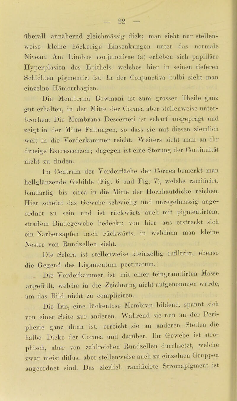 überall annähernd gleiclimässig dick; man sieht nur stellen- weise kleine höckerige Einsenkungeu unter das normale NiA^eau. Am Limbus conjunctivae (a) erheben sich papilläre Hyperplasien des Epithels, welches hier in seinen tieferen Schichten pigmentirt ist. In der Conjunctiva bulbi sieht man einzelne Hämorrhagien. Die Membrana ßowmani ist zum grossen Theile ganz ffut erhalten, in der Mitte der Cornea aber stellenweise unter- brochen. Die Membrana Descemeti ist scharf ausgeprägt und zeigt in der Mitte Faltungen, so dass sie mit diesen ziemlich weit in die Yorderkammer reicht. Weiters sieht man an ihr drusige Excrescenzen; dagegen ist eine Störung der Continuität nicht zu finden. Im Centriim der Vorderfläche der Cornea bemerkt man hellglänzende Grebilde (Fig. 6 und Fig. 7), welche ramificirt, bandartig bis circa in die Mitte der Hornhautdicke reichen. Hier scheint das Gewebe schwielig und unregelmässig ange- ordnet zu sein und ist rückwärts auch mit pigmentirtem, straffem Bindegewebe bedeckt; von hier aus erstreckt sich ein Narbenzapfen nach rückwärts, in welchem man kleine Nester von Rundzellen sieht. Die Sclera ist stellenweise kleinzellig infiltrirt, ebenso die Gegend des Ligamentum pectinatum. Die Vorderkammer ist mit einer feingranulirten Masse angefüllt, welche in die Zeichnung nicht aufgenommen wurde, um das Bild nicht zu comi^liciren. Die Iris, eine lückenlose Membran bildend, spannt sieh von einer Seite zur anderen. Während sie nun an der Peri- pherie ganz dünn ist, erreicht sie an anderen Stellen die halbe Dicke der Cornea und darüber. Ihr Gewebe ist atro- phisch, aber von zahlreichen Rundzellen durchsetzt, welche zwar meist diffus, aber stellenAveise auch zu einzelnen Gruppen angeordnet sind. Das zierlich ramificirte Stromapigment ist