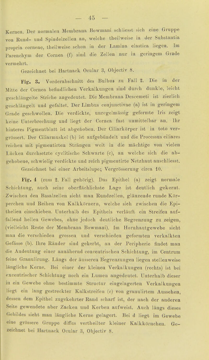 Kerueu. Der iiornialeu Membraua Bowiuaui schliesst sich eine Gruppe Tou Ruud- und Spiiidelzelleu an, welche theilweise in der Substaiitia propria corneae, theilweise schon in der Lamina elastica liegen. Im Fareuchym der Cornea (f) sind die Zellen nur in geringem Grade vermehrt. Gezeichnet bei Hartuaclc Ocular 3, Objectiv 8. Fig. 3. Vorderabschuitt des Bulbus zu Fall 2. Die in der Mitte der Cornea befindlichen Verkalkungen sind durch dunkle, leicht geschläugelte Striche angedeutet. Die Membrana Descemet! ist zierlich geschlängelt und gefaltet. Der Limbus conjunctivae (a) ist in geringem Grade geschwollen. Die verdickte, unregelmässig geformte Iris zeigt keine Unterbrechung und liegt der Cornea fast unmittelbar an. Ihr hinteres Pigmentblatt ist abgehoben. Der Ciliarkörper ist in toto ver- grössert. Der Ciliarmuskel (b) ist aufgebündelt und die Processus ciliares reichen mit pigmentirteu Strängen weit in die mächtige von vielen Lücken durchsetzte cyclitische Schwarte (c), an welche sich die ab- gehobene, schwielig verdickte und reich pigraentirte Netzhaut anschliesst. Gezeichnet bei einer Arbeitslupe ^ Vergrösserung circa 10. Fig'. 4 (zum 2. Fall gehörig). Das Epithel (a) zeigt normale Schichtung-, auch seine oberflächlichste Lage ist deutlich gekernt, Zwischen den Basalzellen sieht man Rundzellen, glänzende runde Kör- perchen und Reihen von Kalkkörnern, welche sich zwischen die Epi- thelien einschieben. Unterhalb des Epithels verläuft ein Streifen auf- fallend hellen Gewebes, ohne jedoch deutliche Begrenzung zu zeigen, (vielleicht Reste der Membrana Bowmani). Im Hornhautgewebe sieht man die verschieden grossen und verschieden geformten verkalkten Gefässe (b). Ihre Ränder sind gekerbt, an der Peripherie findet mau die Andeutuug einer annähernd concentrischen Schichtung, im Centrum feine Granulirung. Längs der äusseren Begrenzungen liegen stellenweise längliche Kerne. Bei einer der kleinen Verkalkungen (rechts) ist bei excentrischer Schichtung noch ein Lumen angedeutet. Unterhalb dieser in ein Gewebe ohne bestimmte Structur eingelagerten Verkalkungen liegt ein lang gestreckter Kalkstreifen (c) von granulirtem Aussehen, dessen dem Epithel zugekehrter Rand scharf ist, der nach der anderen Seite gewendete aber Zacken und Kerben aufweist. Auch längs dieses Gebildes sieht man läugliche Kerne gelagert. Bei d liegt im Gewebe eine grössere Gruppe diffus vertheilter kleiner Kalkkörnchen. Ge- zeichnet bei Hartnack Ocular 3, Objectiv 8.